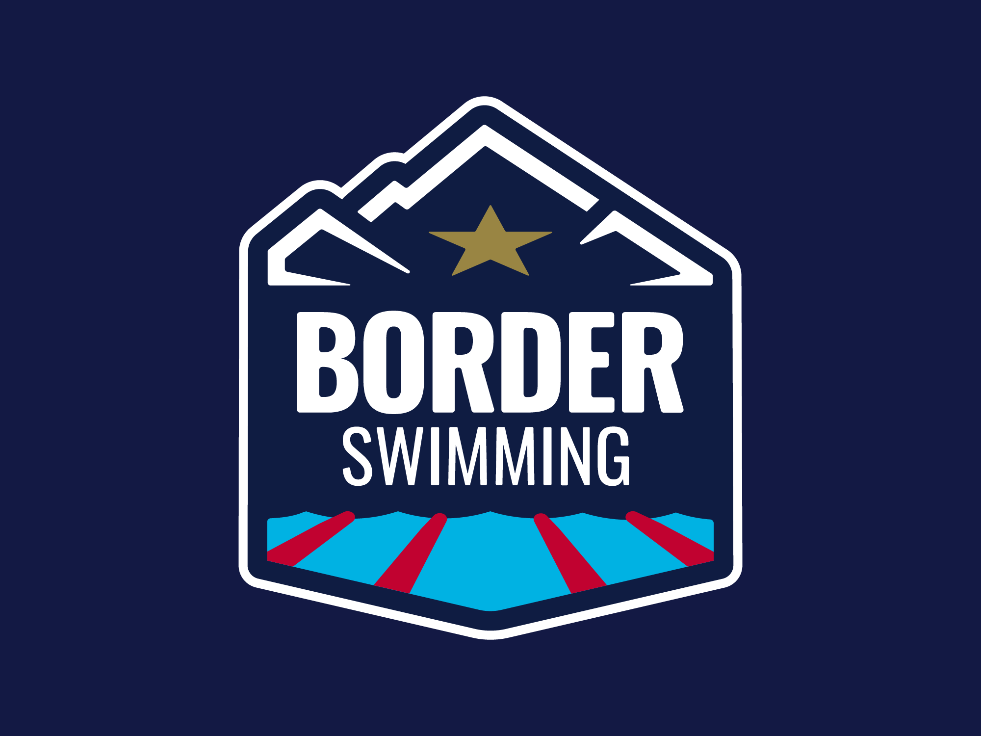 USAS_GridTemplate_LSCLogos_BorderSwimming_1.png