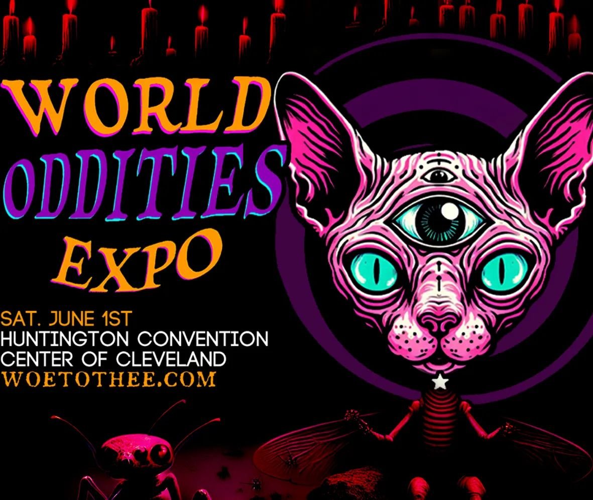 🎃 WOE ARRIVES IN CLEVELAND, OH 🎪
❌
🎃 Saturday, June 1st 🎉 12pm - 8pm 
👁️ Huntington Convention Center of Cleveland
🙀 300 Lakeside Avenue East Cleveland, OH 44113
❌
🎟️ @ woetothee  d🔵t  c💻m
🤯
#WORLDODDITIESEXPO 
#WOETOTHEE 
#WOETOTHEECLEVELA