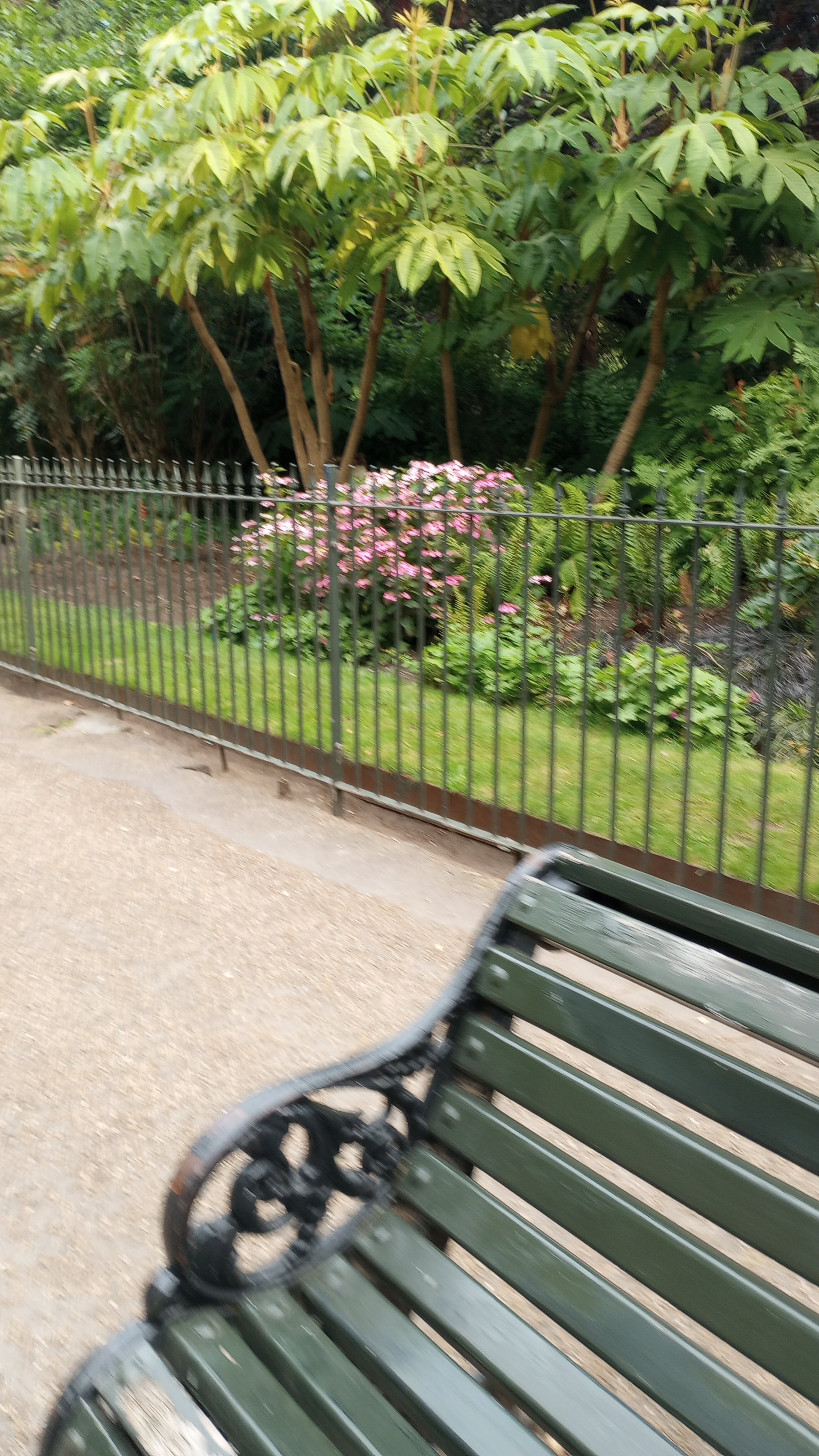 Homeopathy, a new way of slow- medicine; and ai generated Homeopathy, is it helpful?