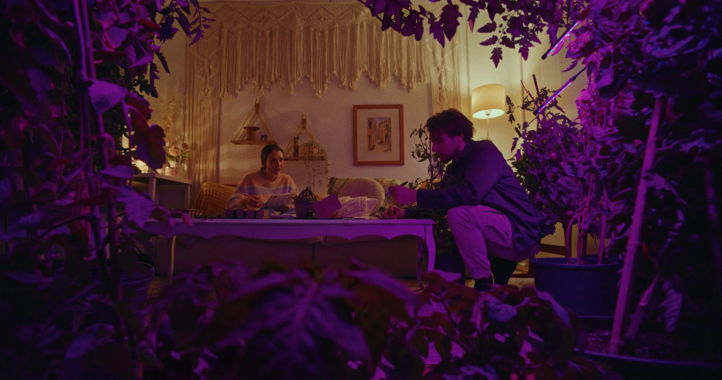 Heirloom_PromoStills_4K_DCI__2.4.1.jpg