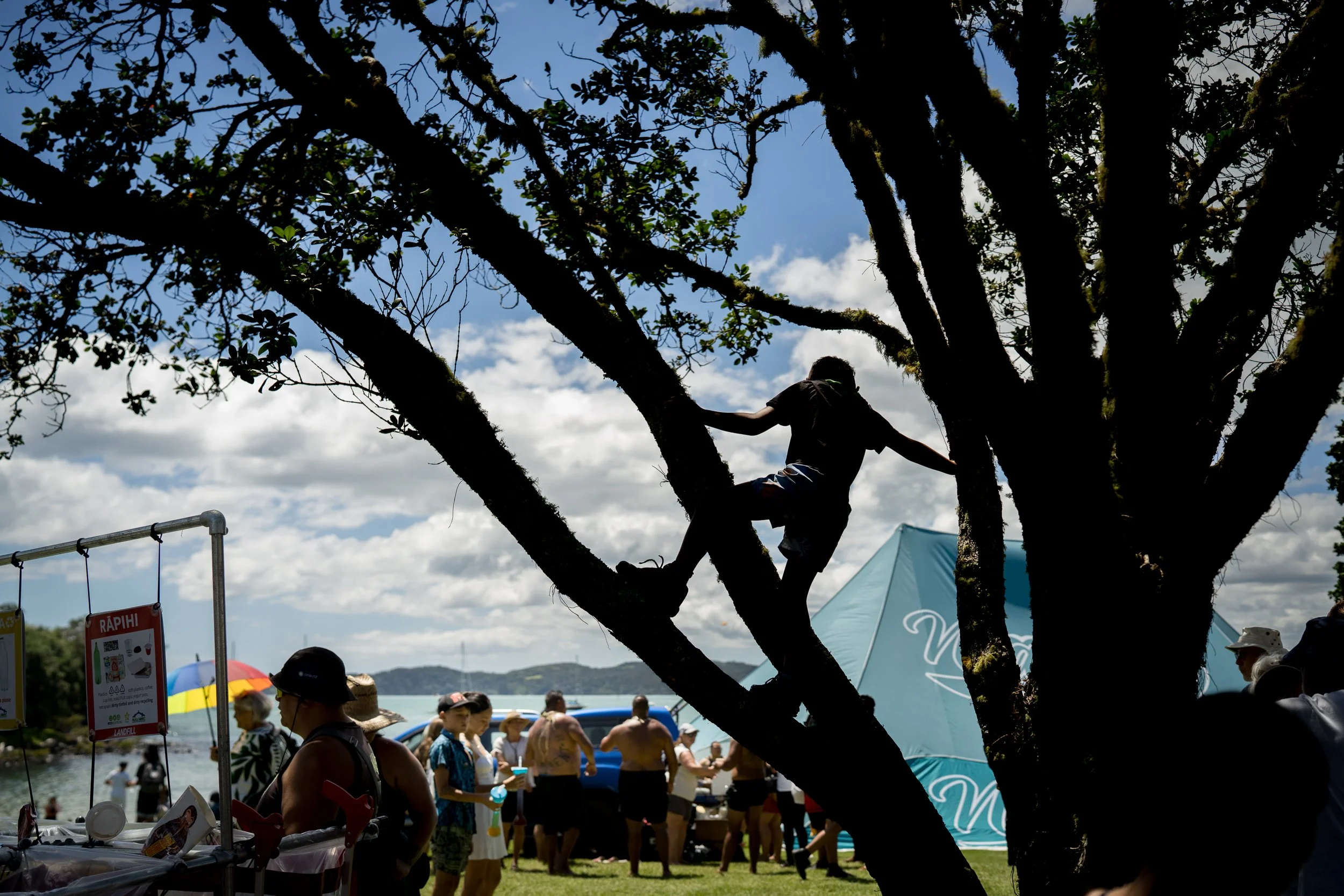 A boy plays in the trees amongst the stalls at Waitangi Day celebrations.