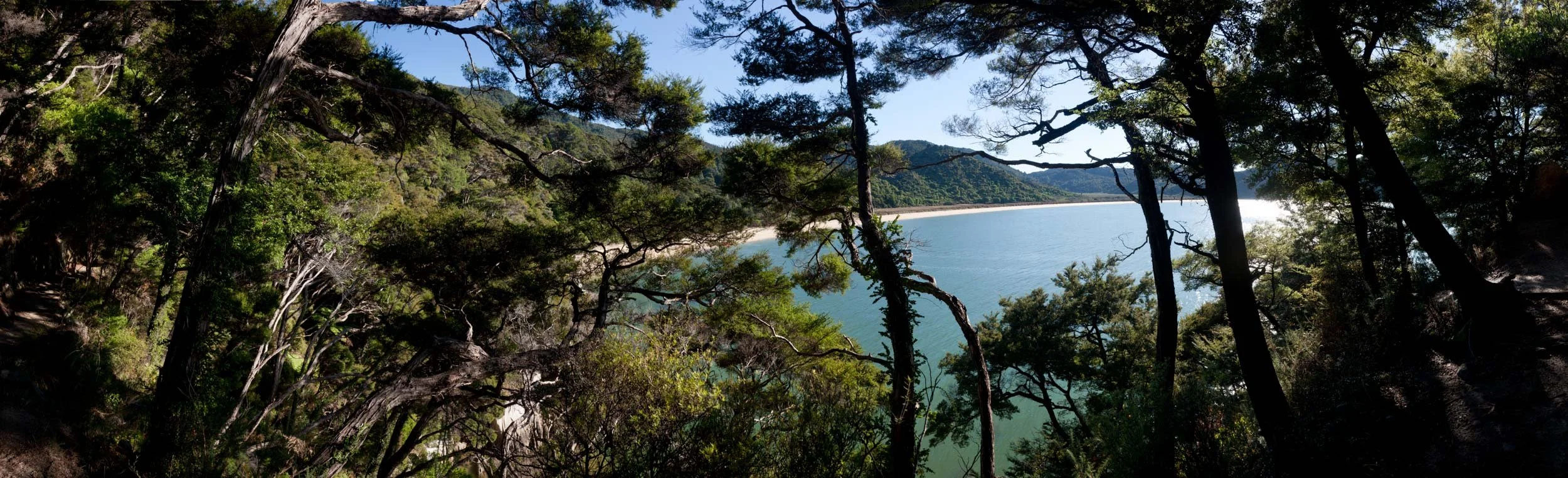 Panoramic view of Onetahuti Beach through native bush.