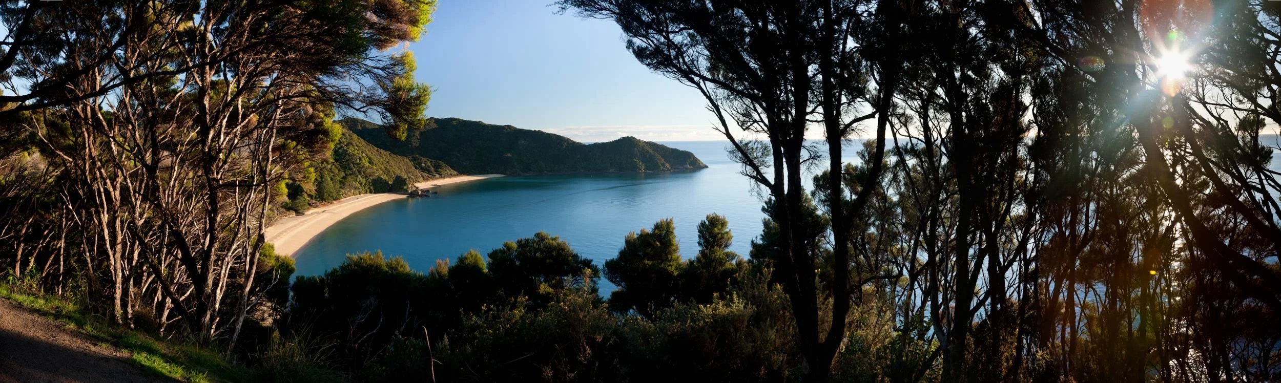 Looking through native bush at Anapai Bay on a sunny day.