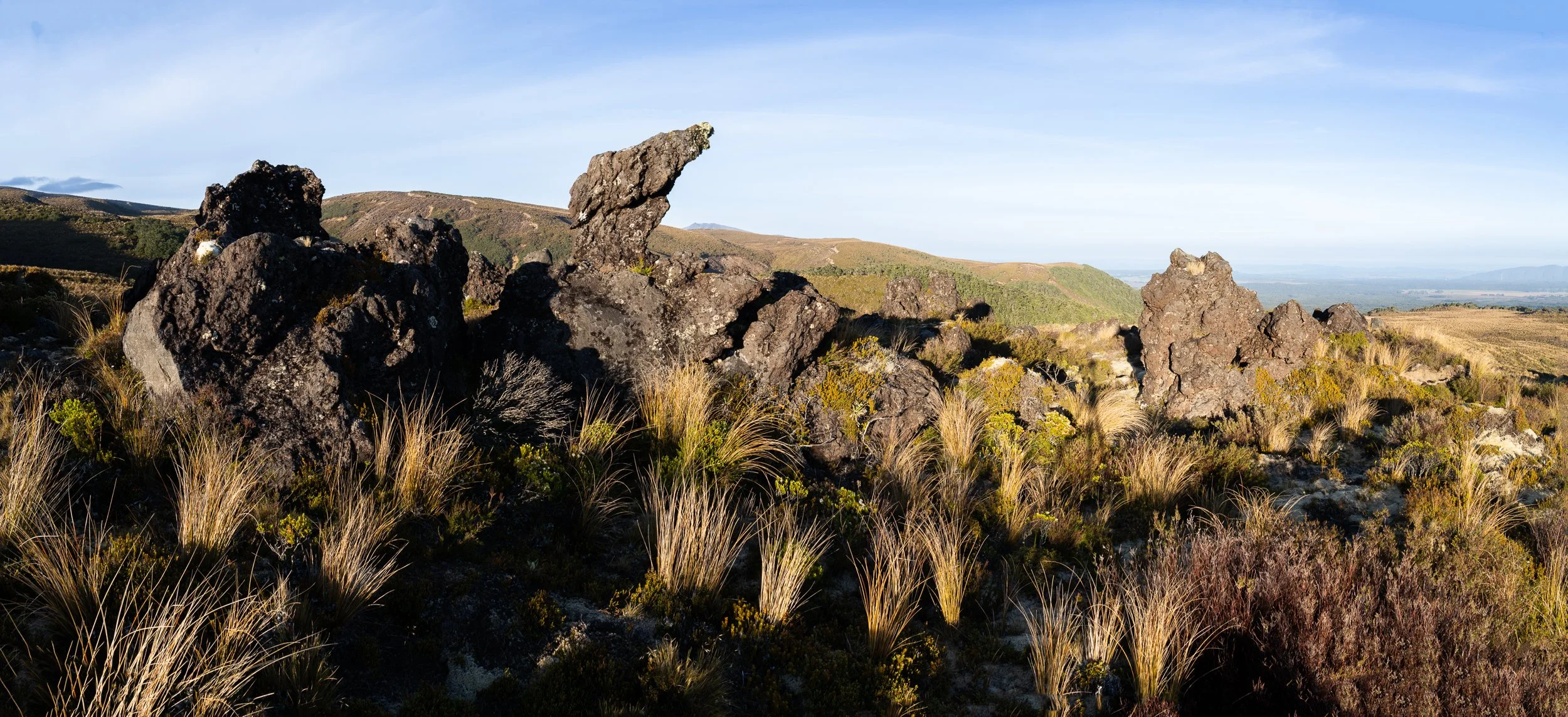 doogan_220103_8896-Pano.jpg