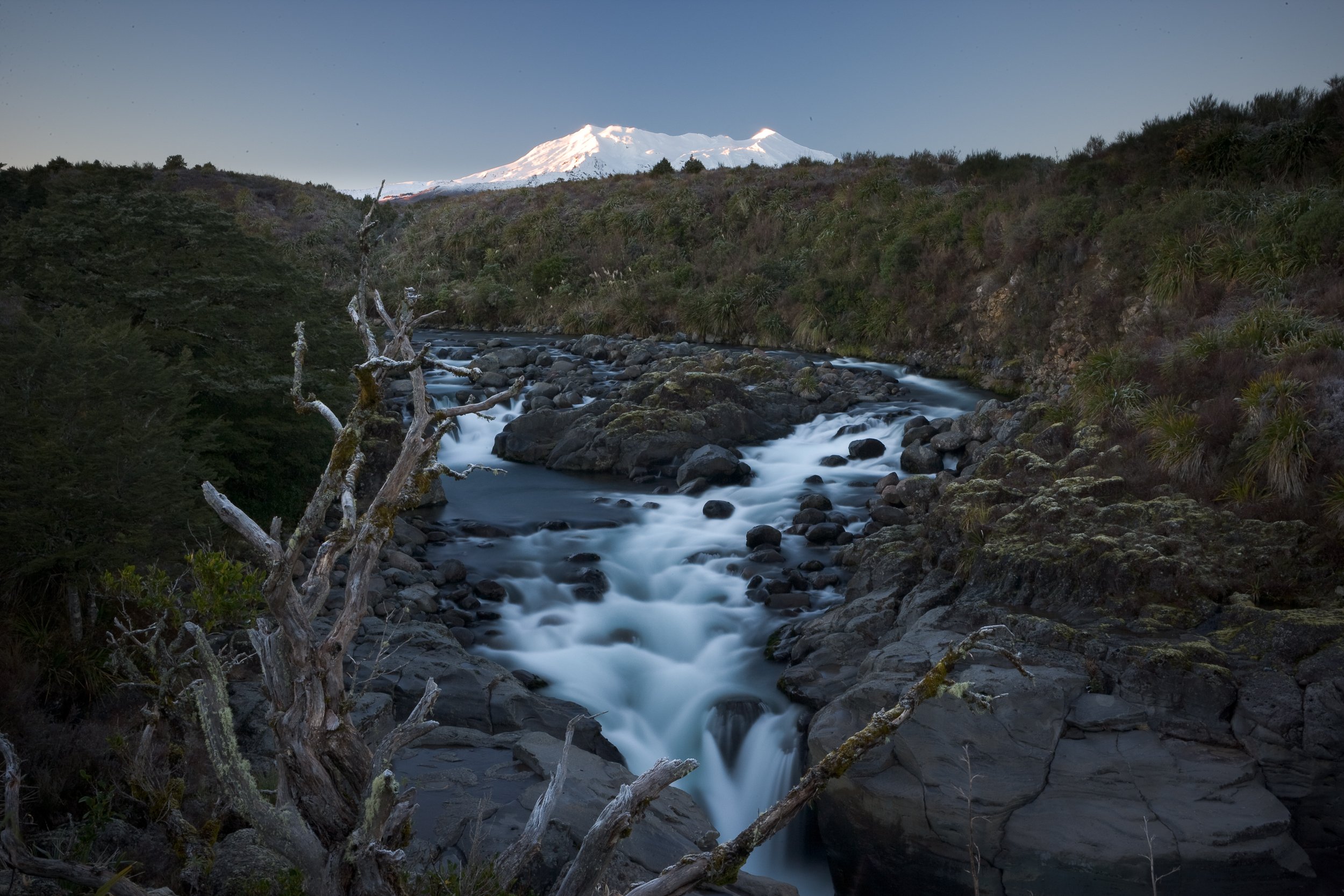 doogan_050803_3438.jpg
