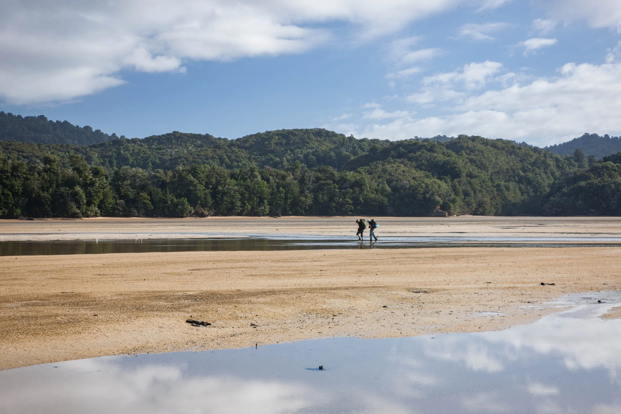 Hikers walking across Awaroa Inlet.