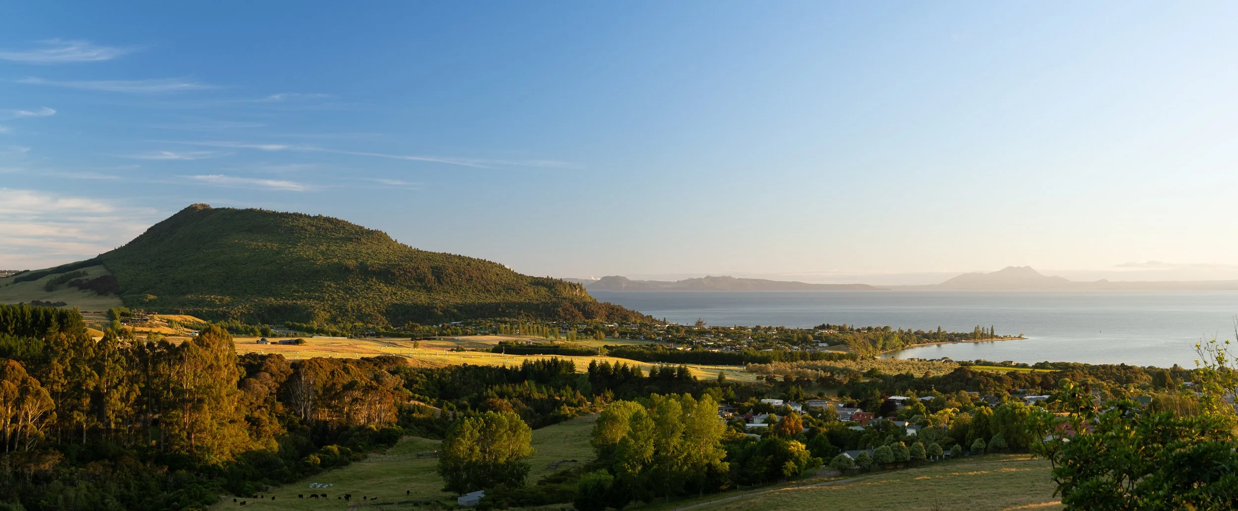 doogan_201231_4308-Pano.jpg