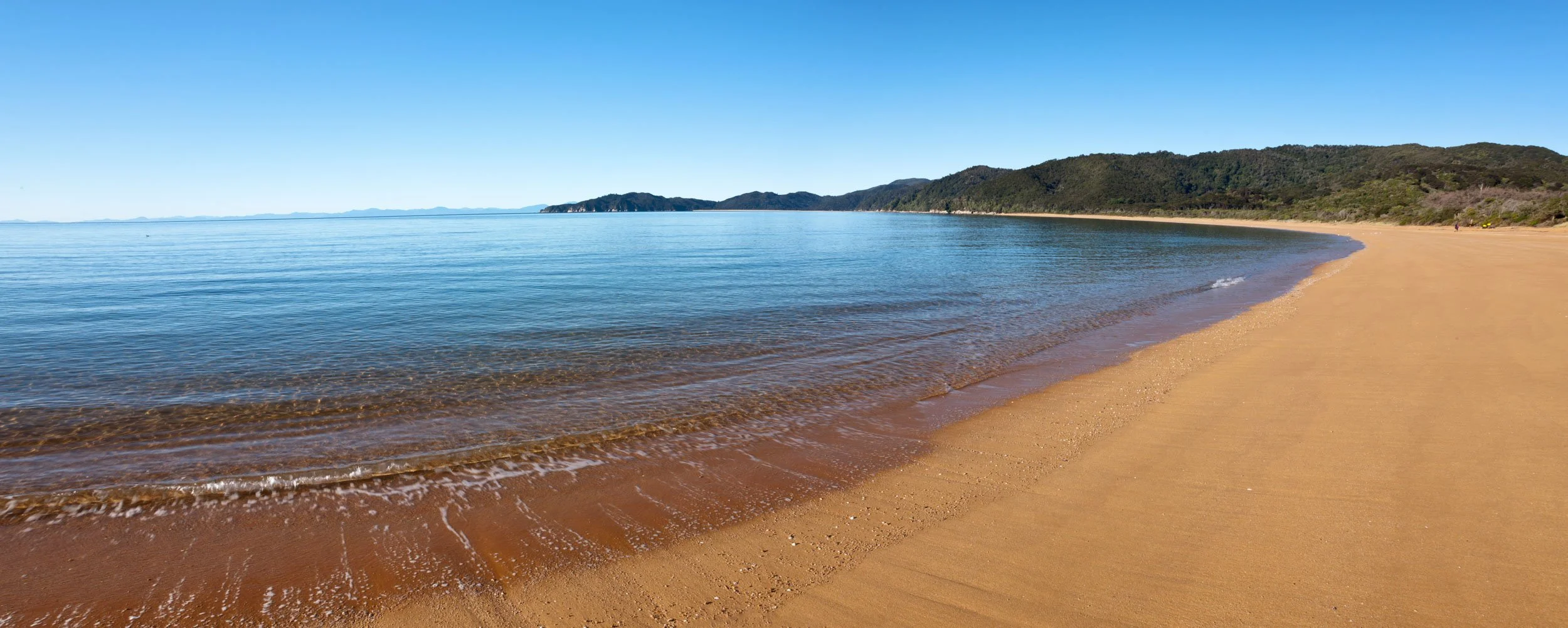 A clear blue sky and a calm sea along Totaranui beach.