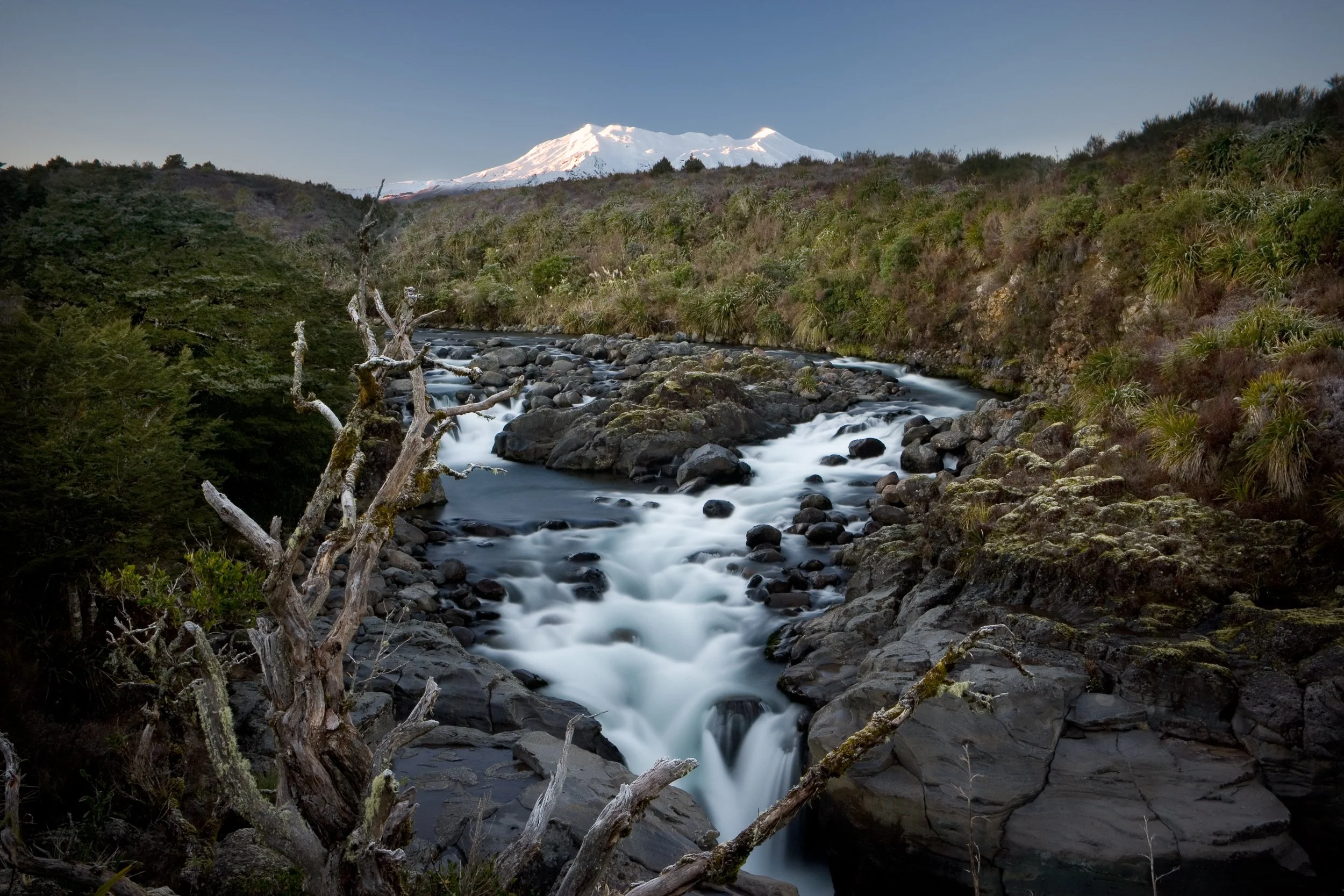 doogan_050819_3438.jpg