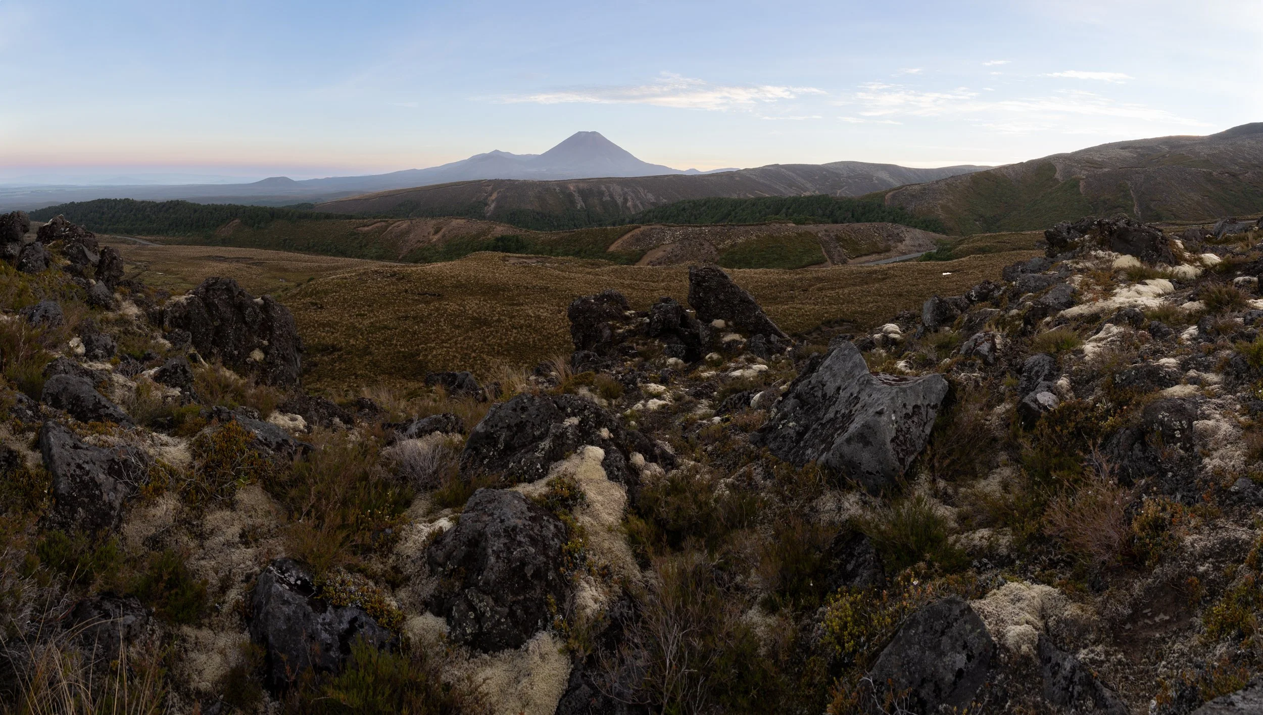 doogan_220103_8783-Pano.jpg