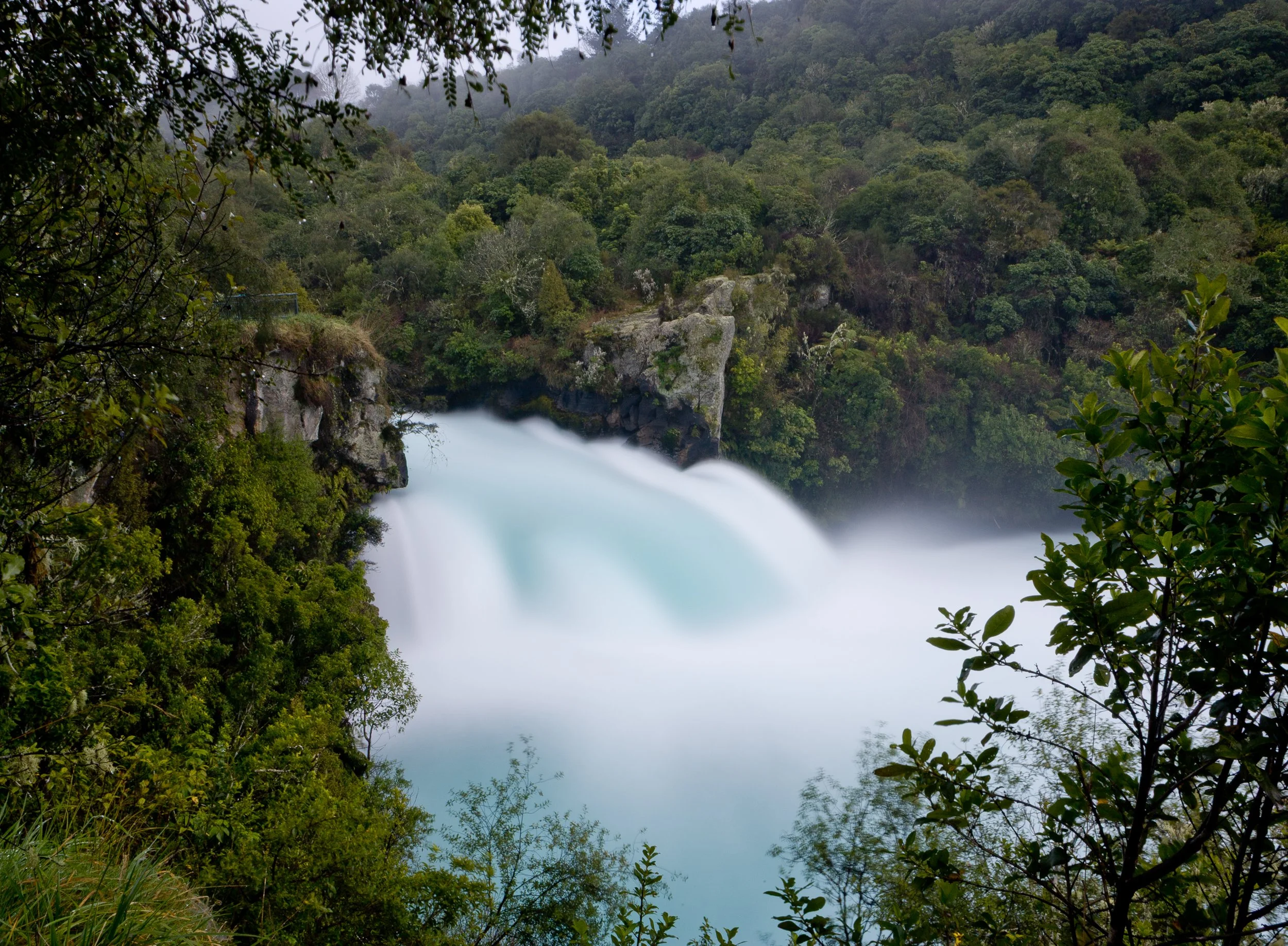 doogan_050801_3333.jpg