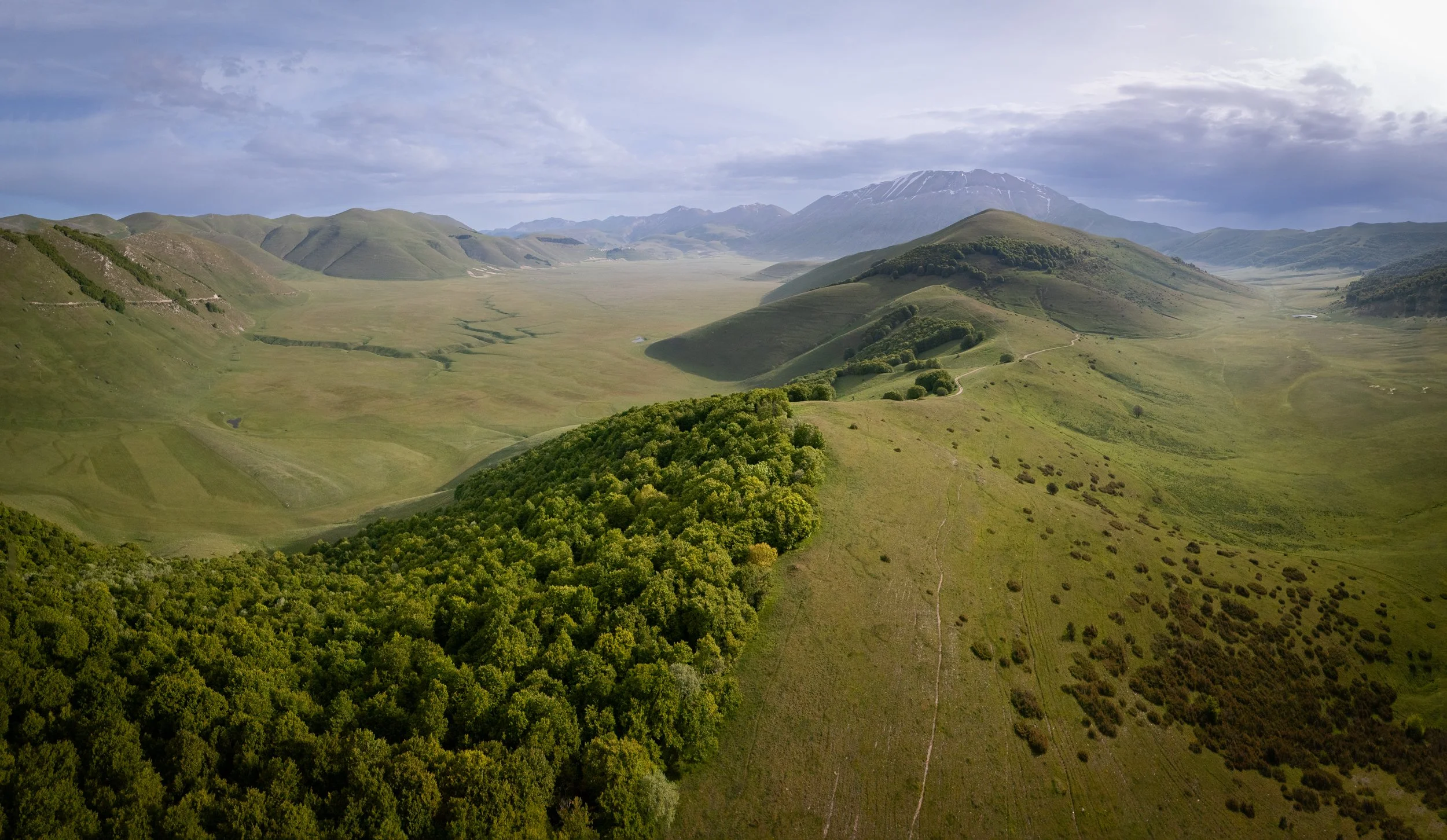 doogan_250520_-60-Pano.jpg