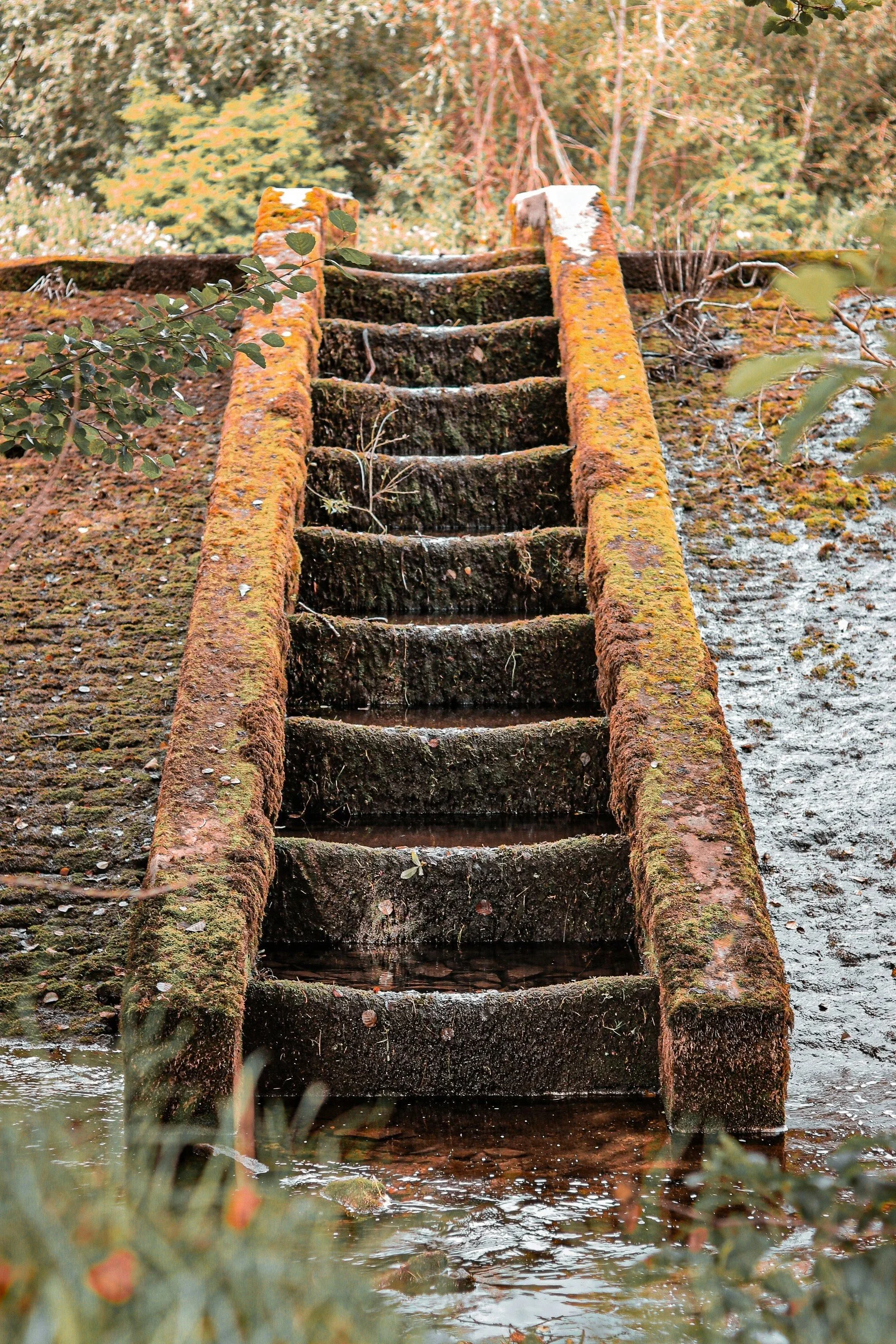 Joshua Steps