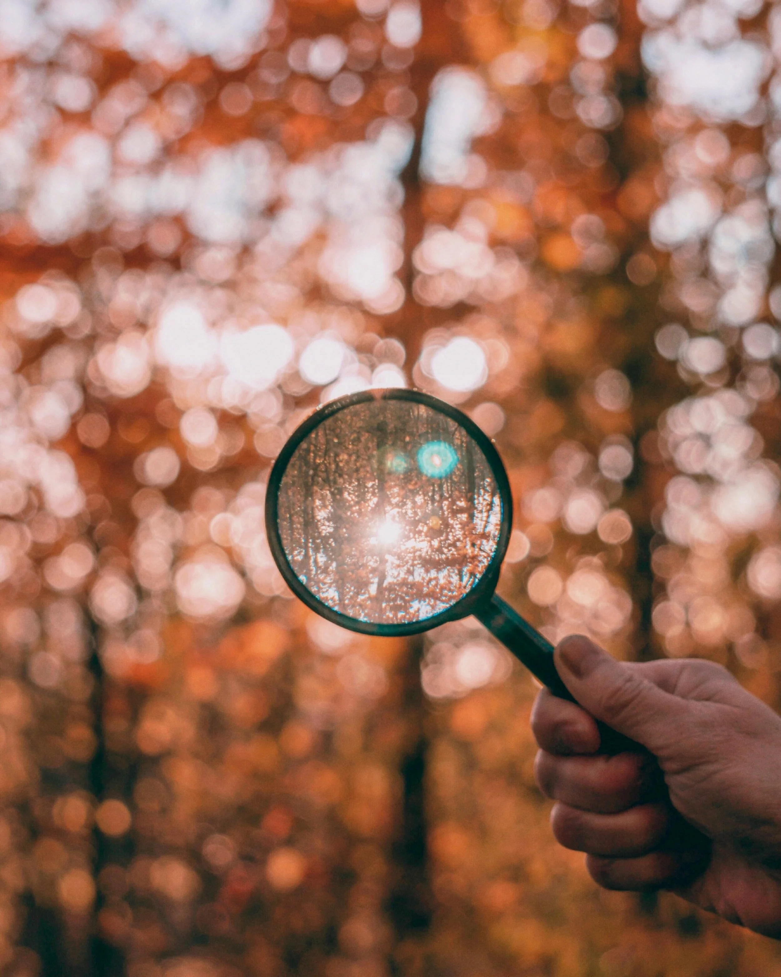 A hand holding a magnifying glass focused on autumn trees with orange leaves, creating a zoomed-in view of the scene.