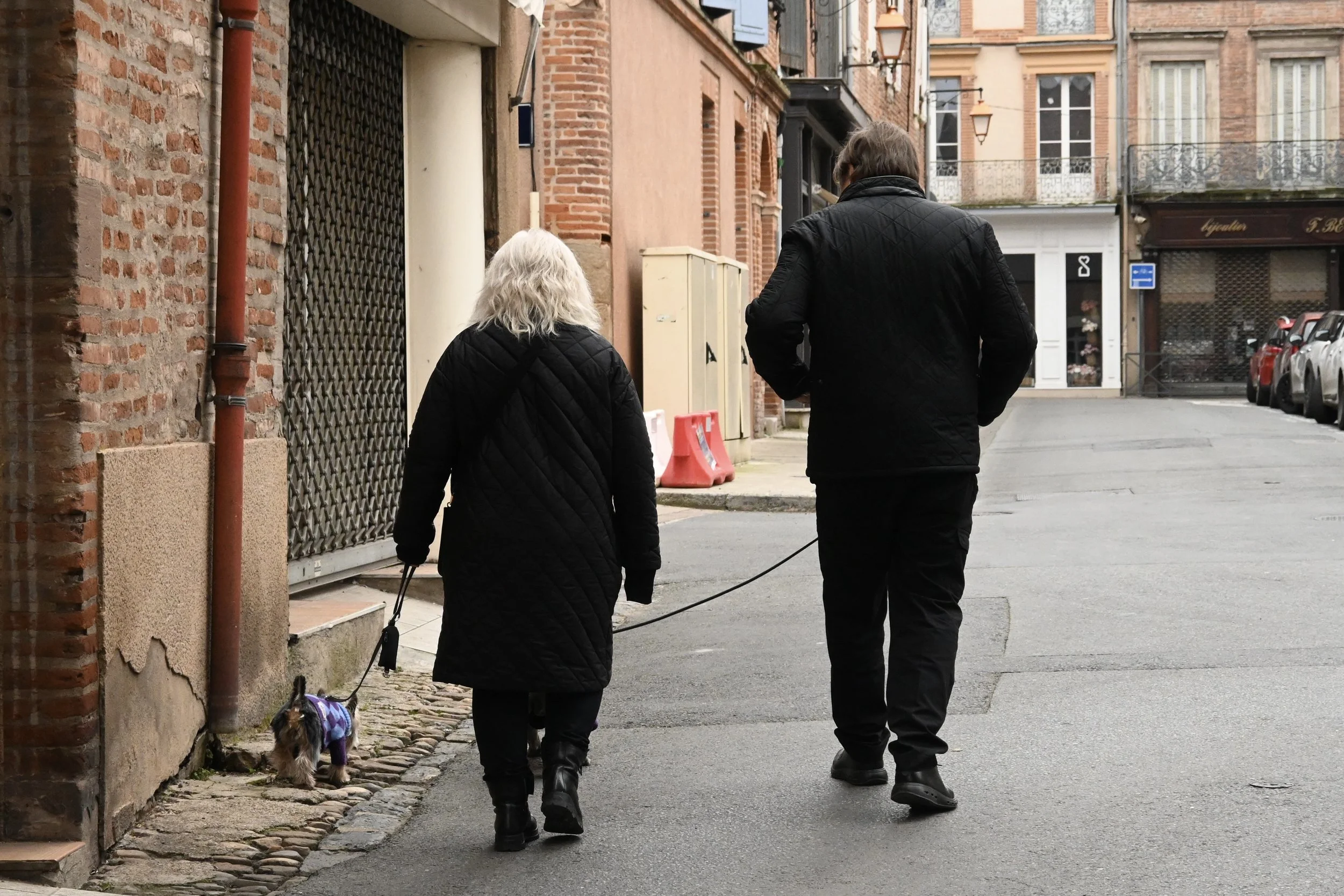 Two people, a woman with white hair and a man with brown hair, are walking together on a city street. They are both dressed in black jackets and pants. The woman is walking her small dog, which is wearing a colorful sweater, along the sidewalk. The street is lined with old brick buildings and parked cars.
