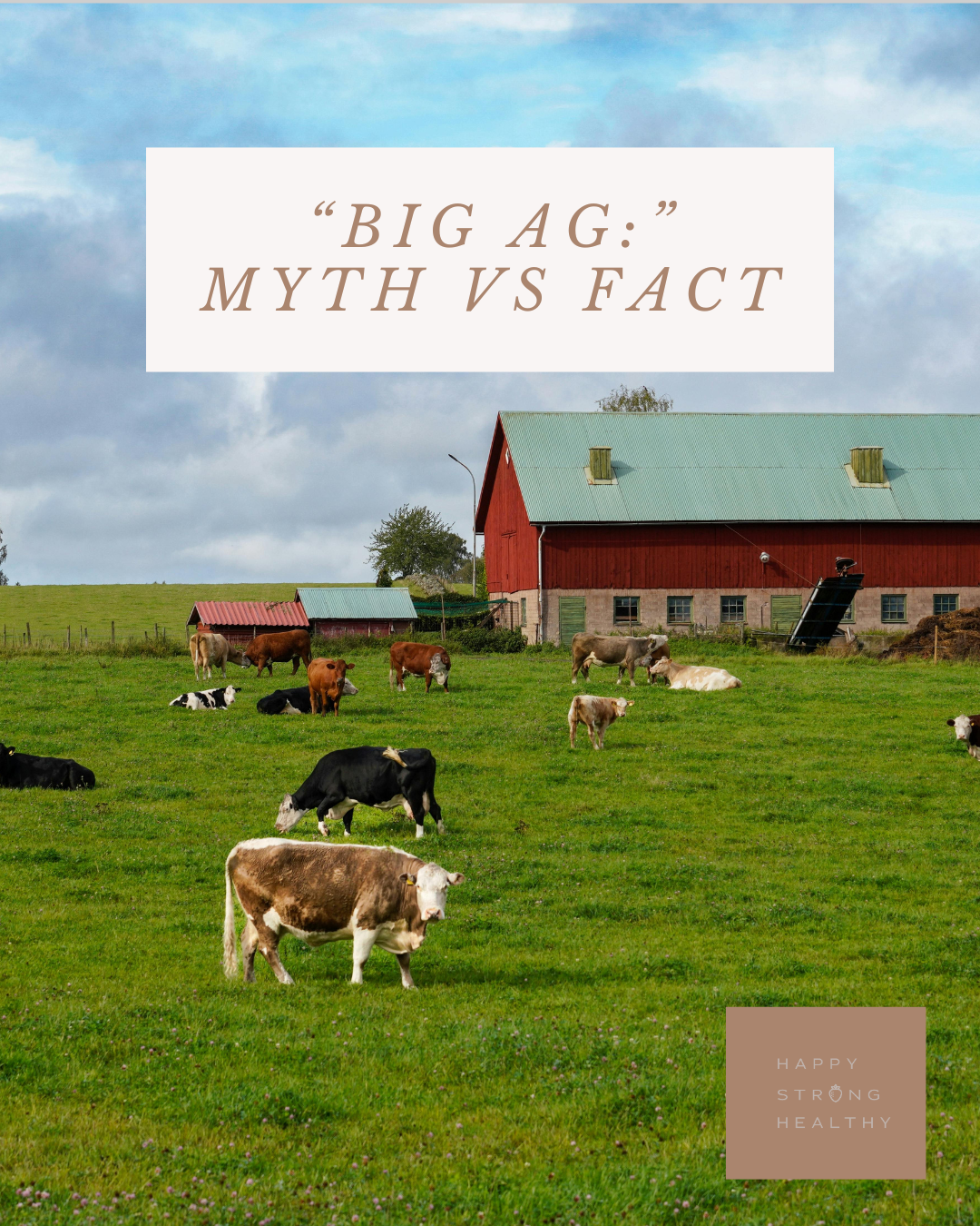 Big Ag: Myth vs. Fact