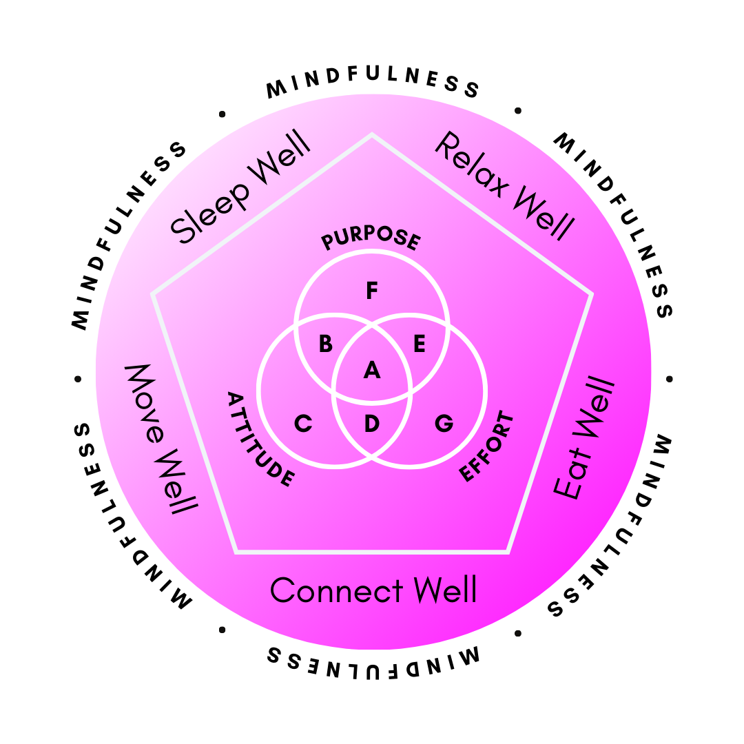 Chibs Stress & Burnout Coach Mindfulness for Strivers Framework