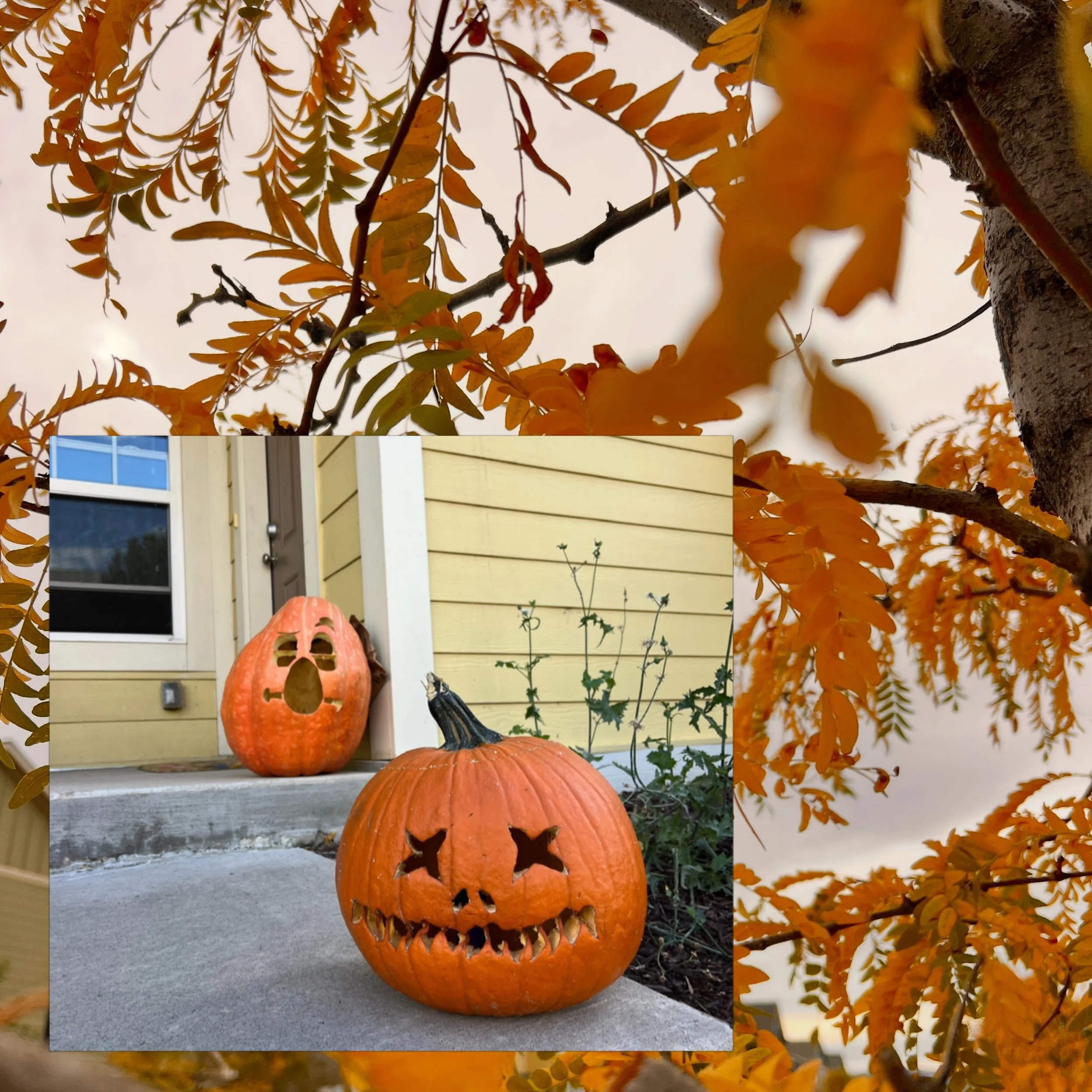 Who is in the FALL MOOD? I know WE are!!🍁

Join us upstairs in the Clubhouse for FREE PUMPKIN CARVING tomorrow October 16th AT 1:00 PM! 🎃

We will be providing pumpkins, carving tools, AND a place upstairs in the clubhouse for the carving to commen