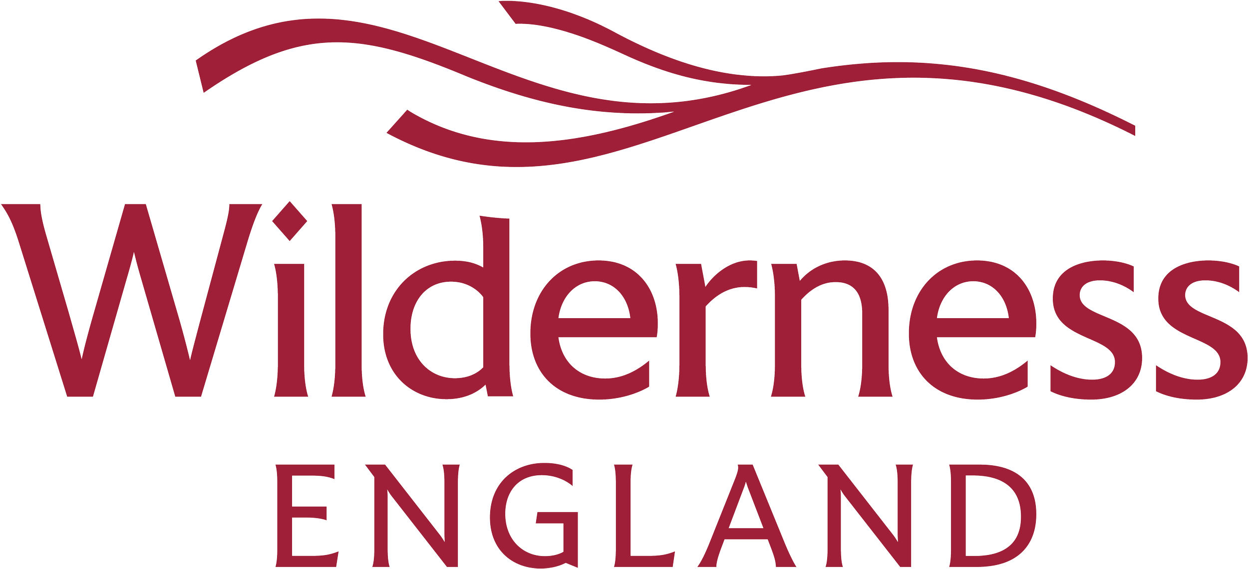 Wilderness Ireland Logo