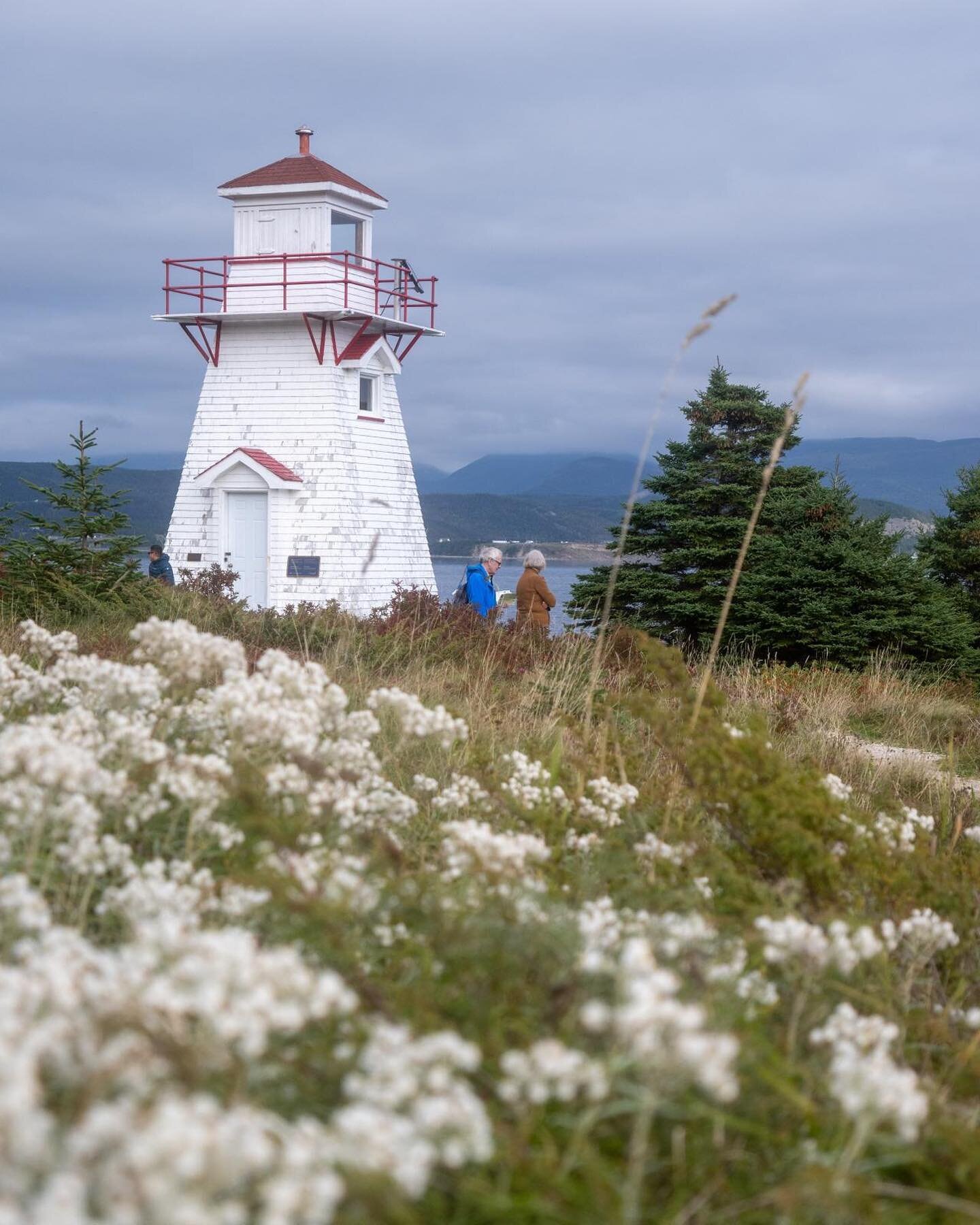 Bannikin team member @msanniebird recently returned from circumnavigating Newfoundland with @adventure.canada! She had the pleasure of hosting four journalists on an immersive and transformative journey to a unique part of Canada. 
&nbsp;
Talented mu