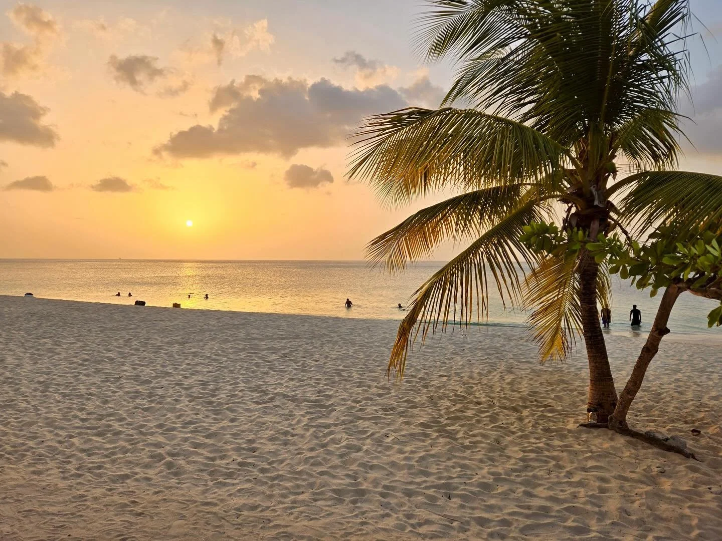 It&rsquo;s been a couple of weeks since Bannikin presented at the&nbsp;@ctotourism Sustainable Tourism Conference in beautiful&nbsp;#PureGrenada, and we&rsquo;re still reflecting on how much wisdom, insight, and good practice was packed into just a f