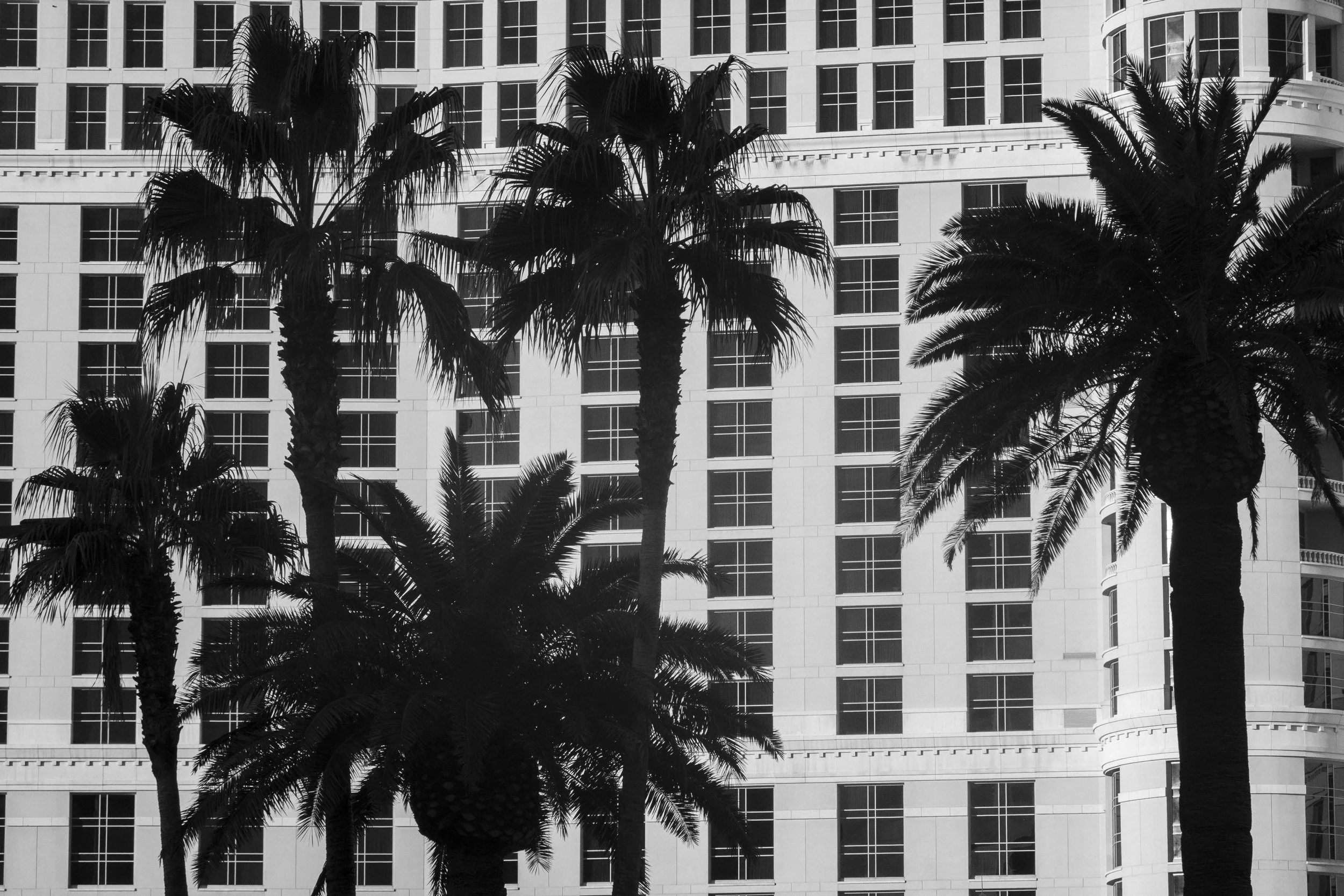 San Diego &amp; Vegas 