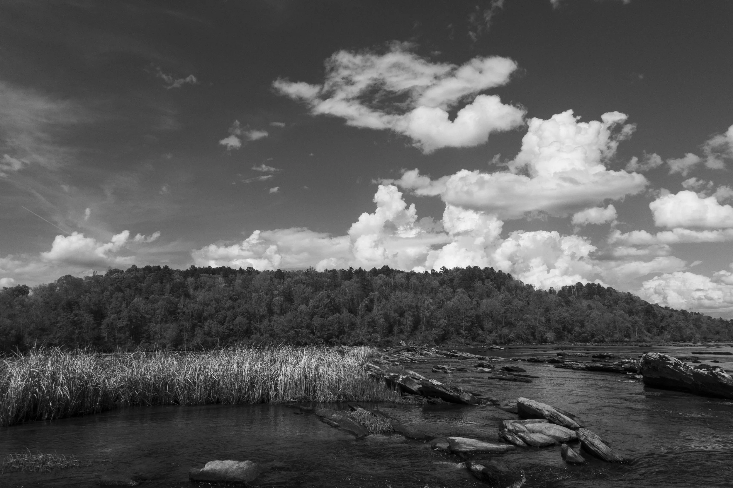 Tallapoosa with Linz