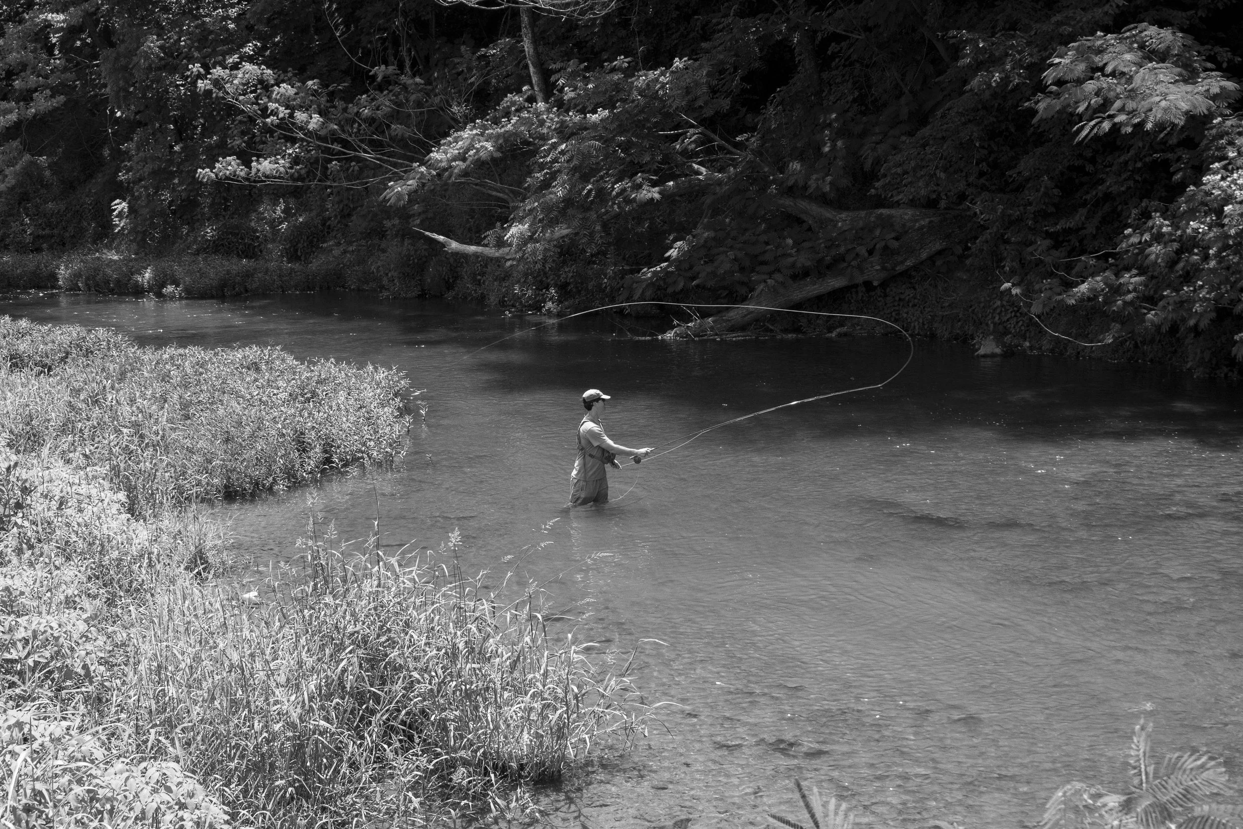 Tennessee Smallmouth