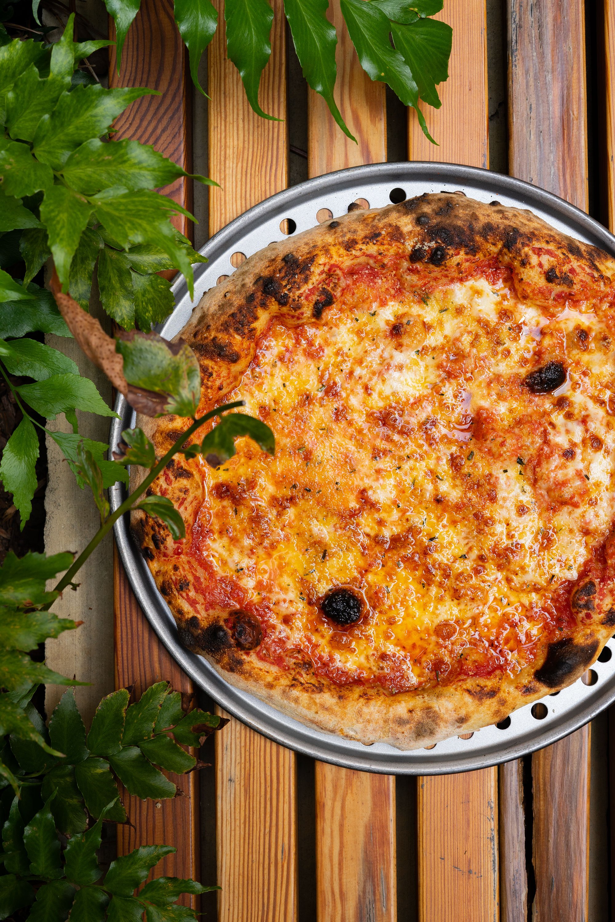 Cheese_Za.jpg
