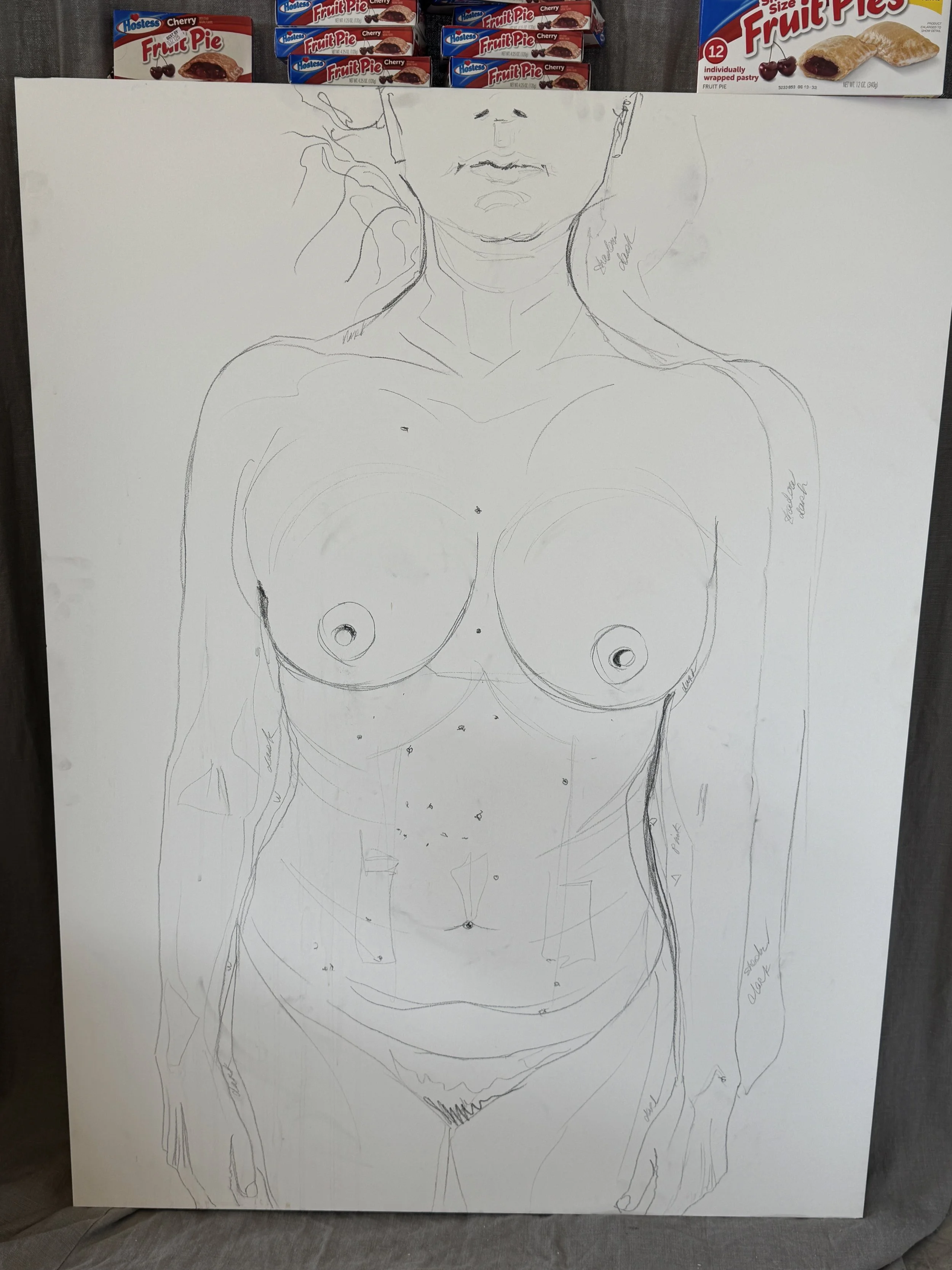 In PROCESS: "Cherry Picked: Grab and Go. (Sell by Date: Age 14.)"
36"W x 48"H
Hostess Cherry Pies