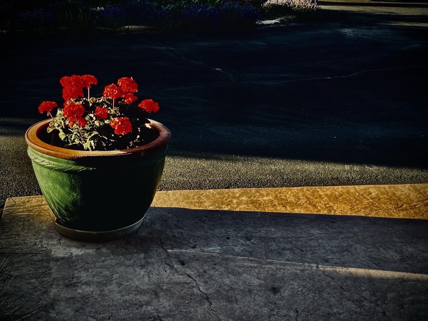 My Hopper interpretation of a geranium. Ahhh. Thank good ess@spring has arrived.