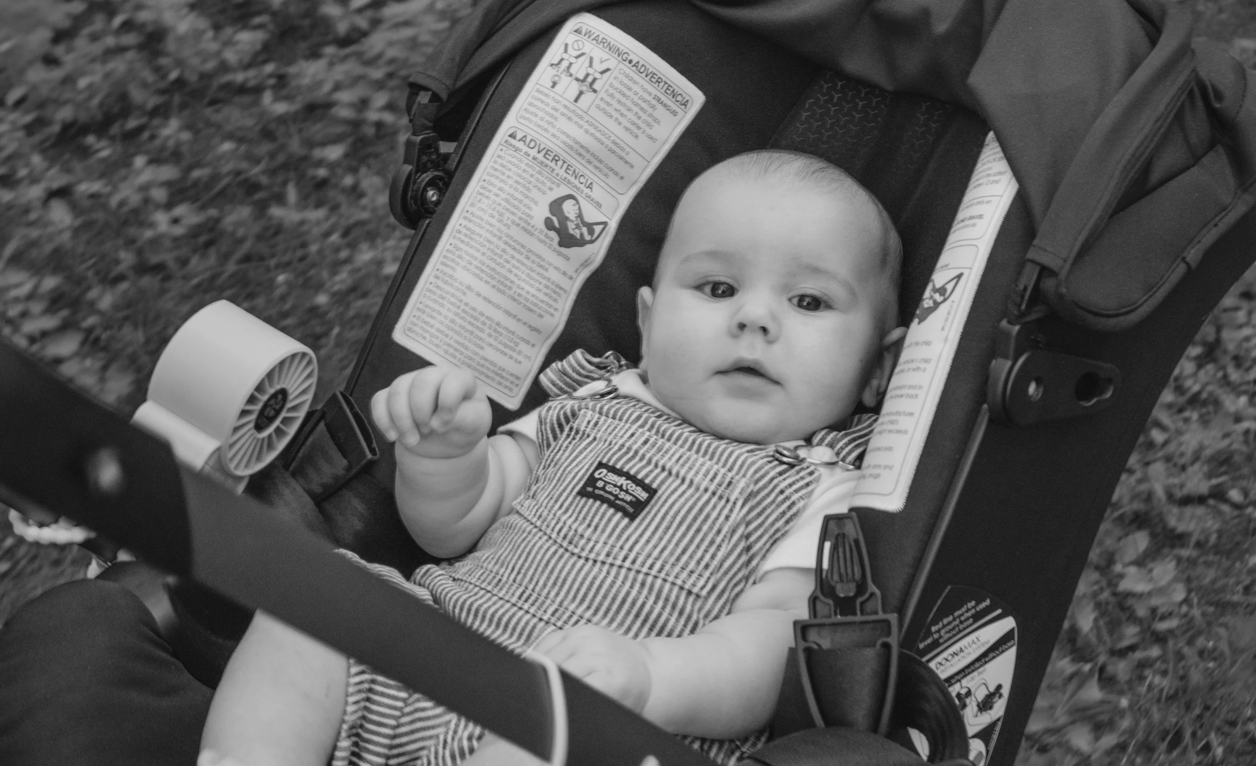 Staley (Five Months)-60.jpg
