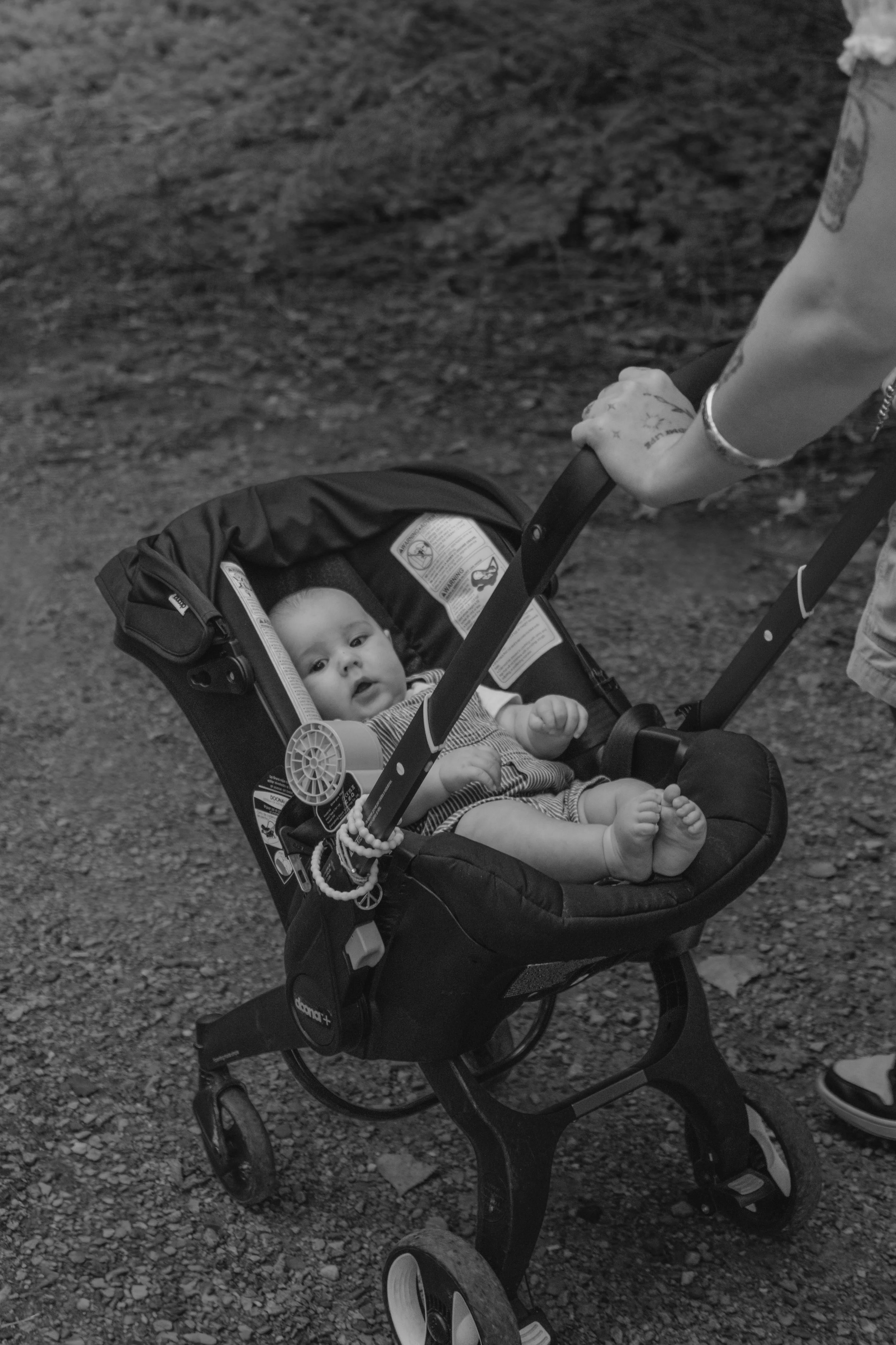 Staley (Five Months)-45.jpg