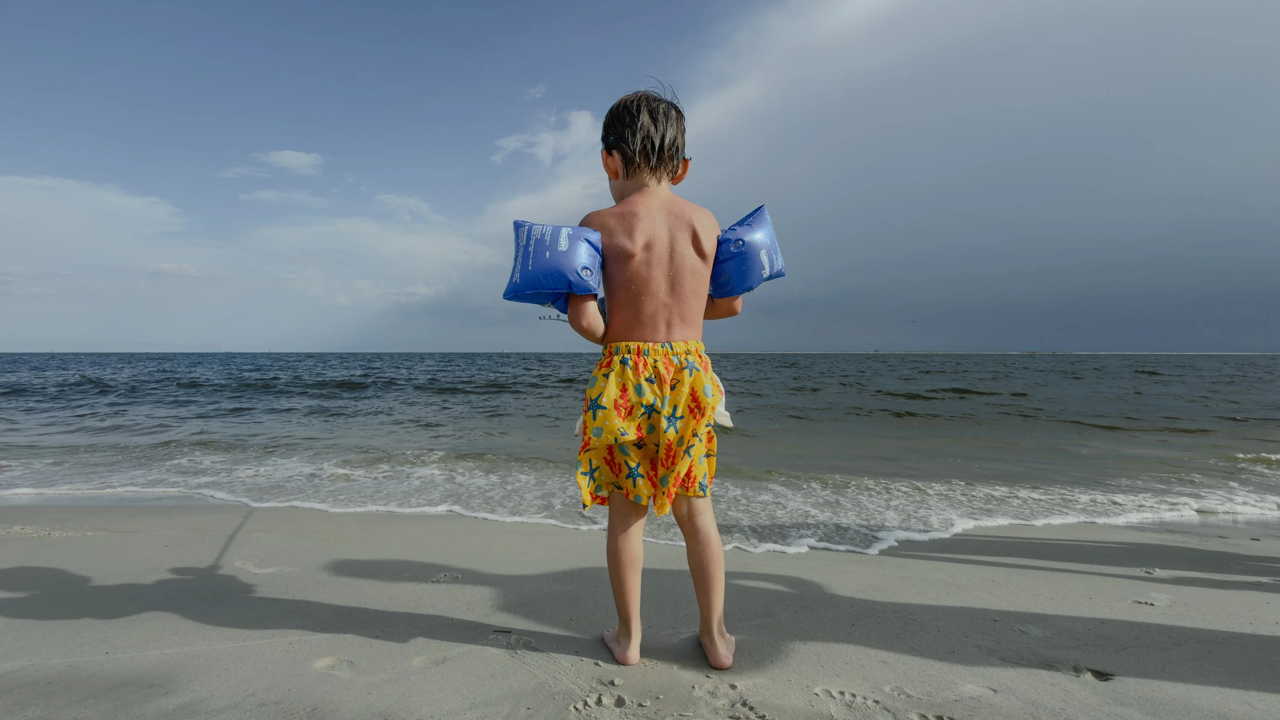 Dauphin Island (2026) -2.jpg