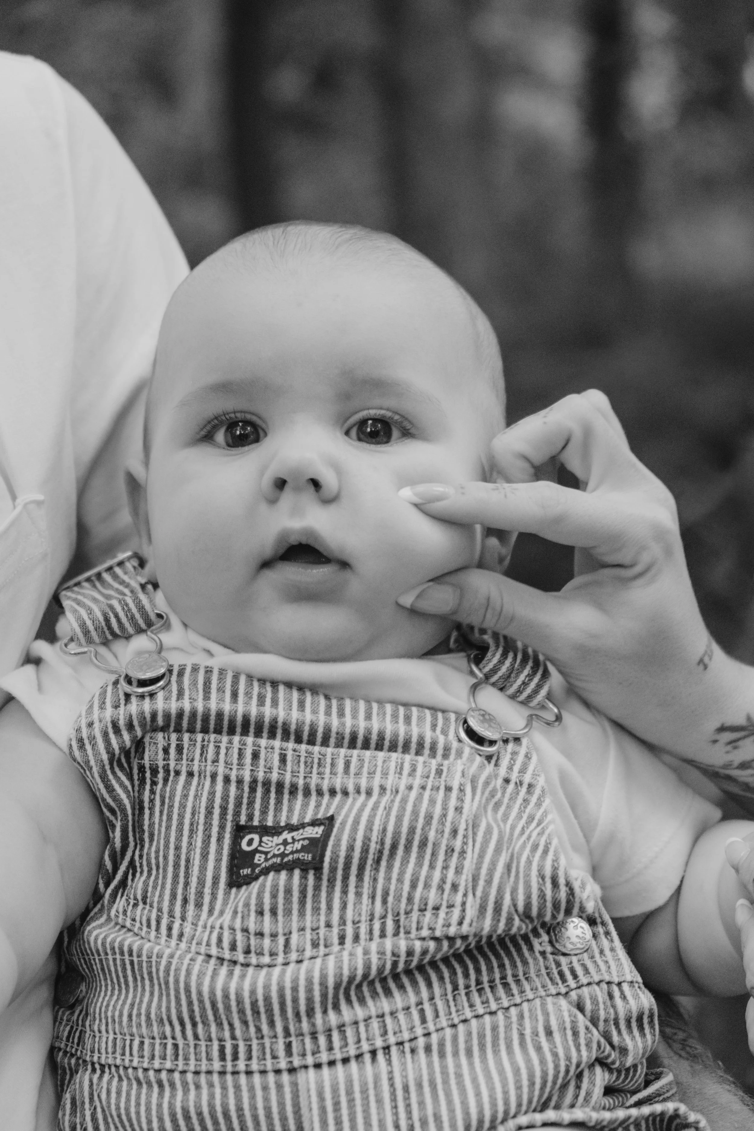 Staley (Five Months)-17.jpg