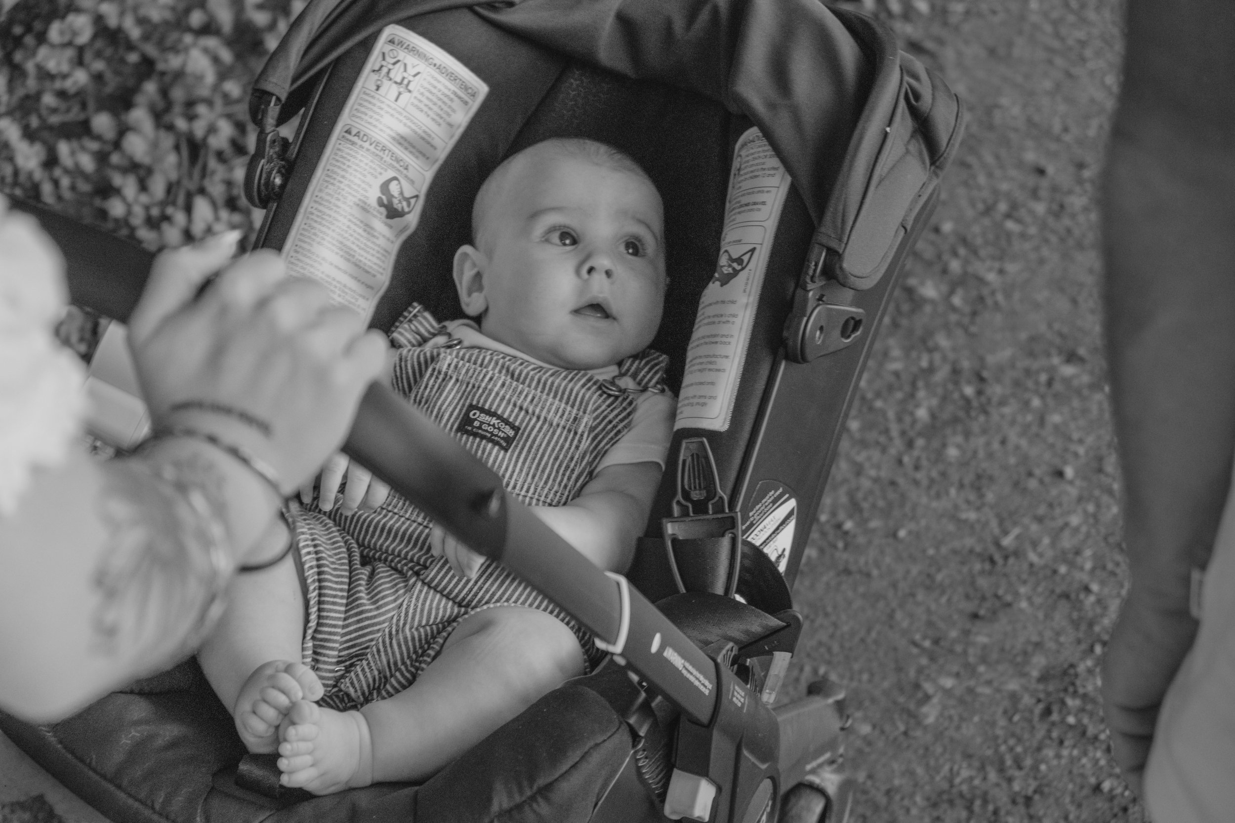 Staley (Five Months)-54.jpg