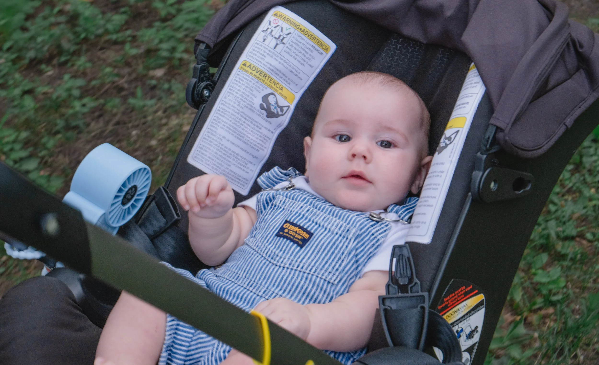 Staley (Five Months)-60.jpg