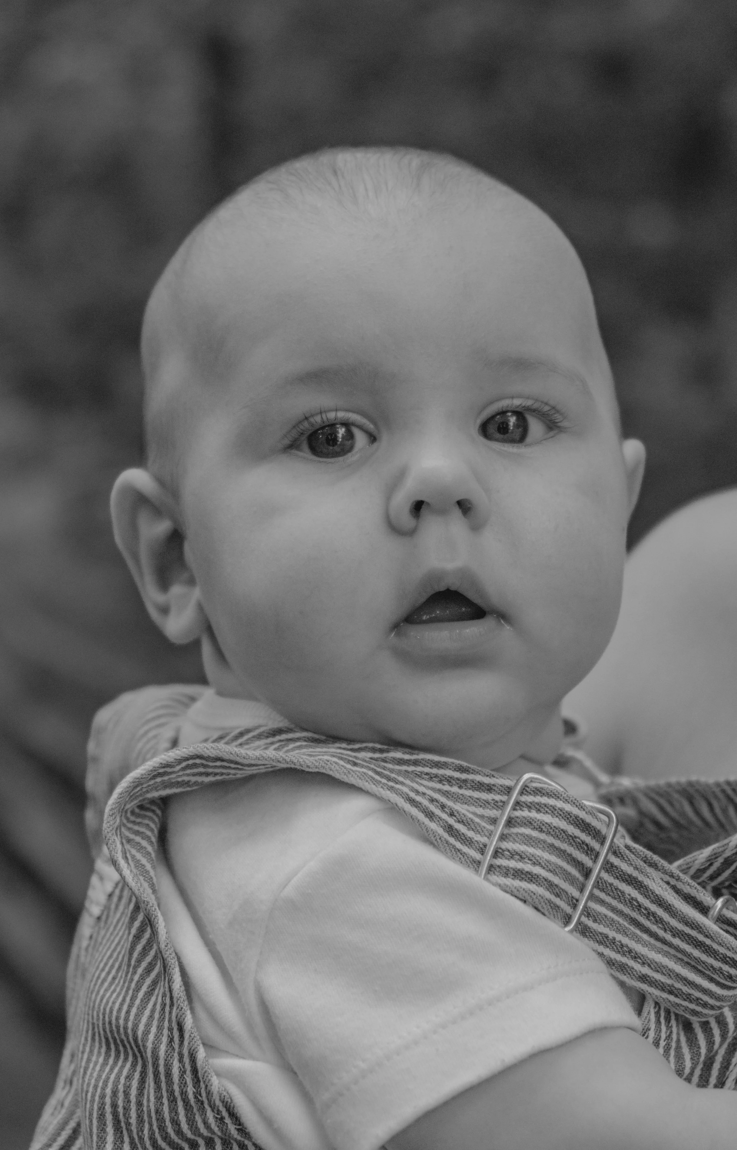Staley (Five Months)-36.jpg