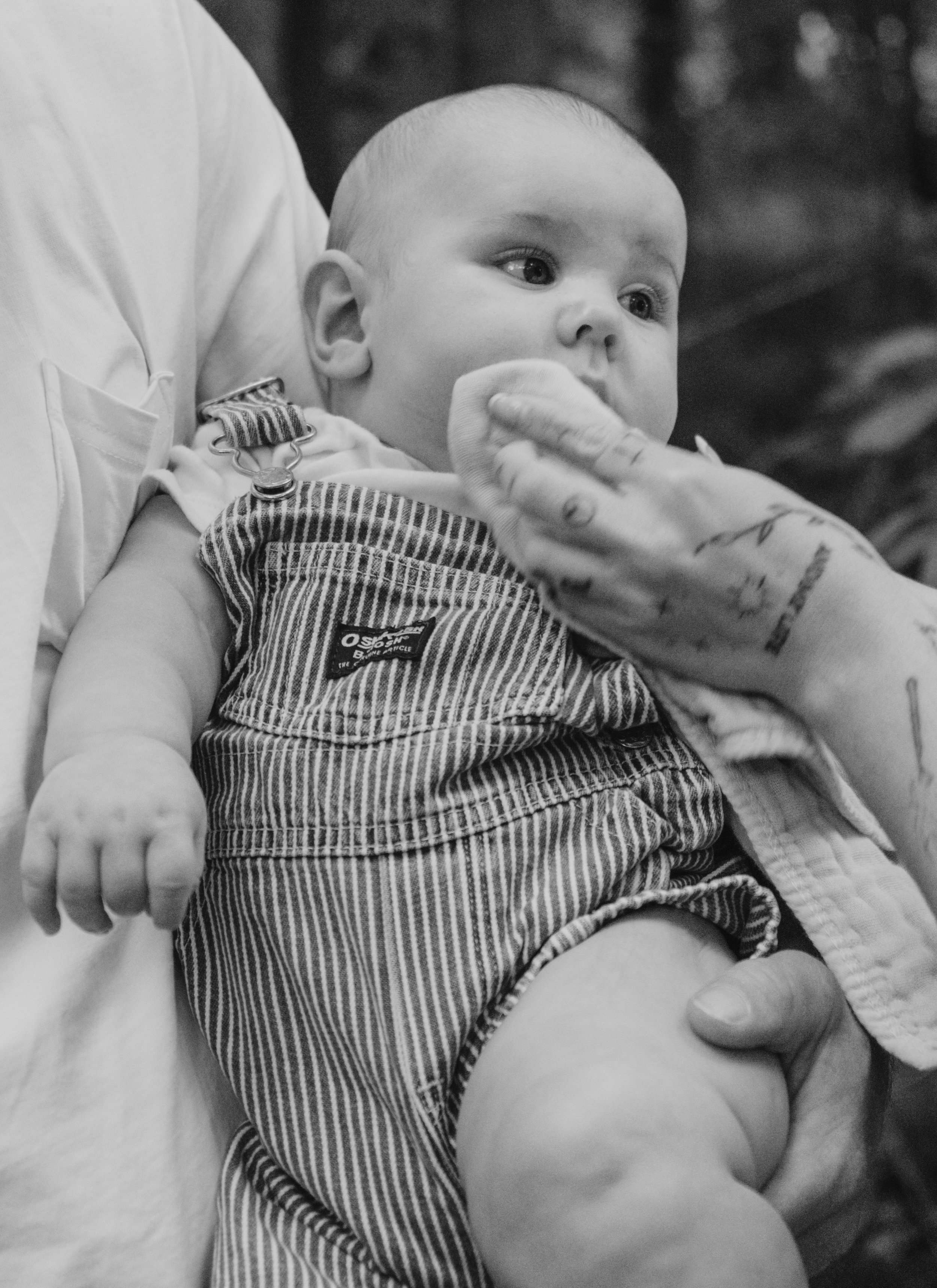 Staley (Five Months)-15.jpg
