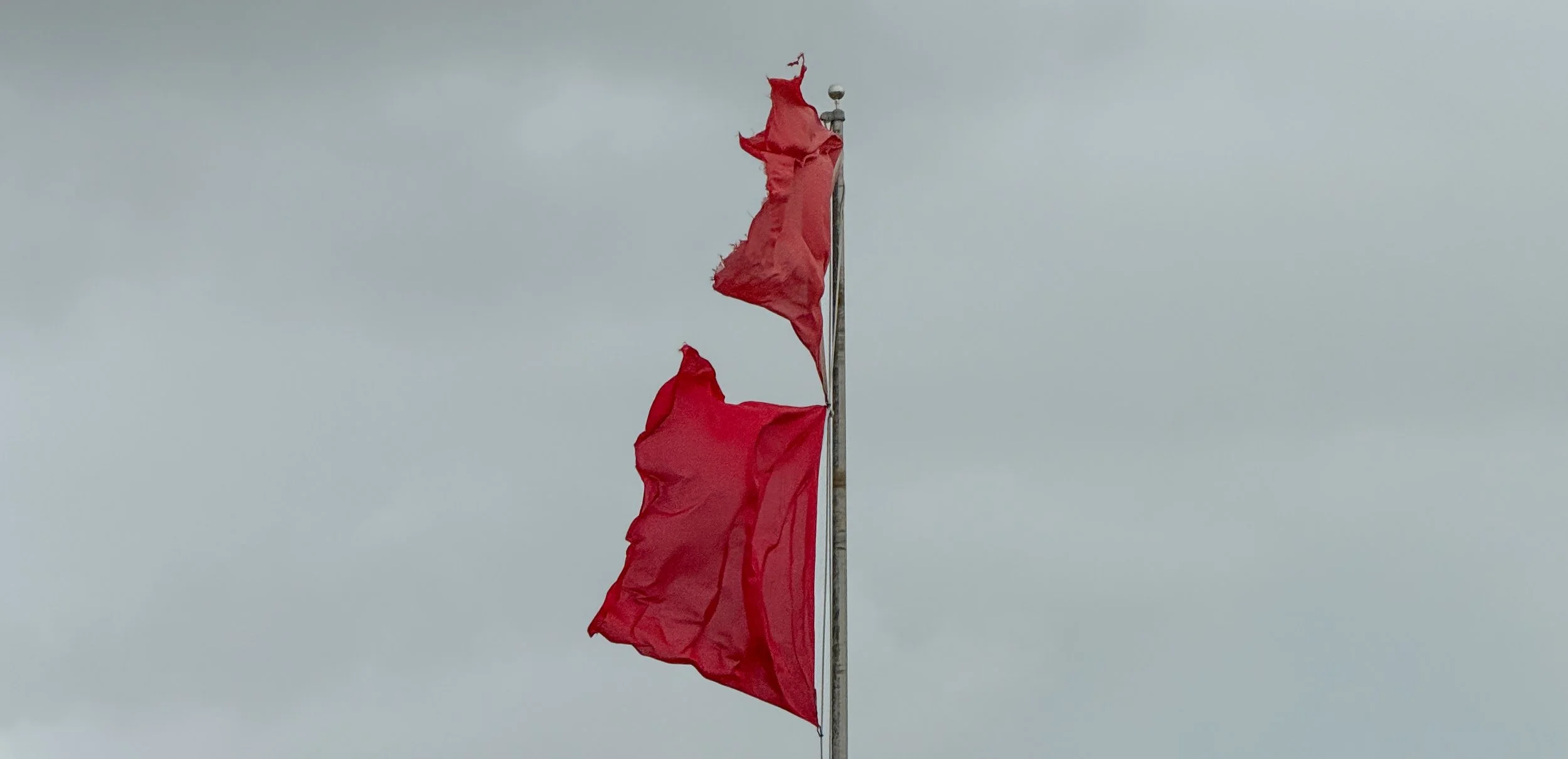 Dauphin Island (2026) -21.jpg