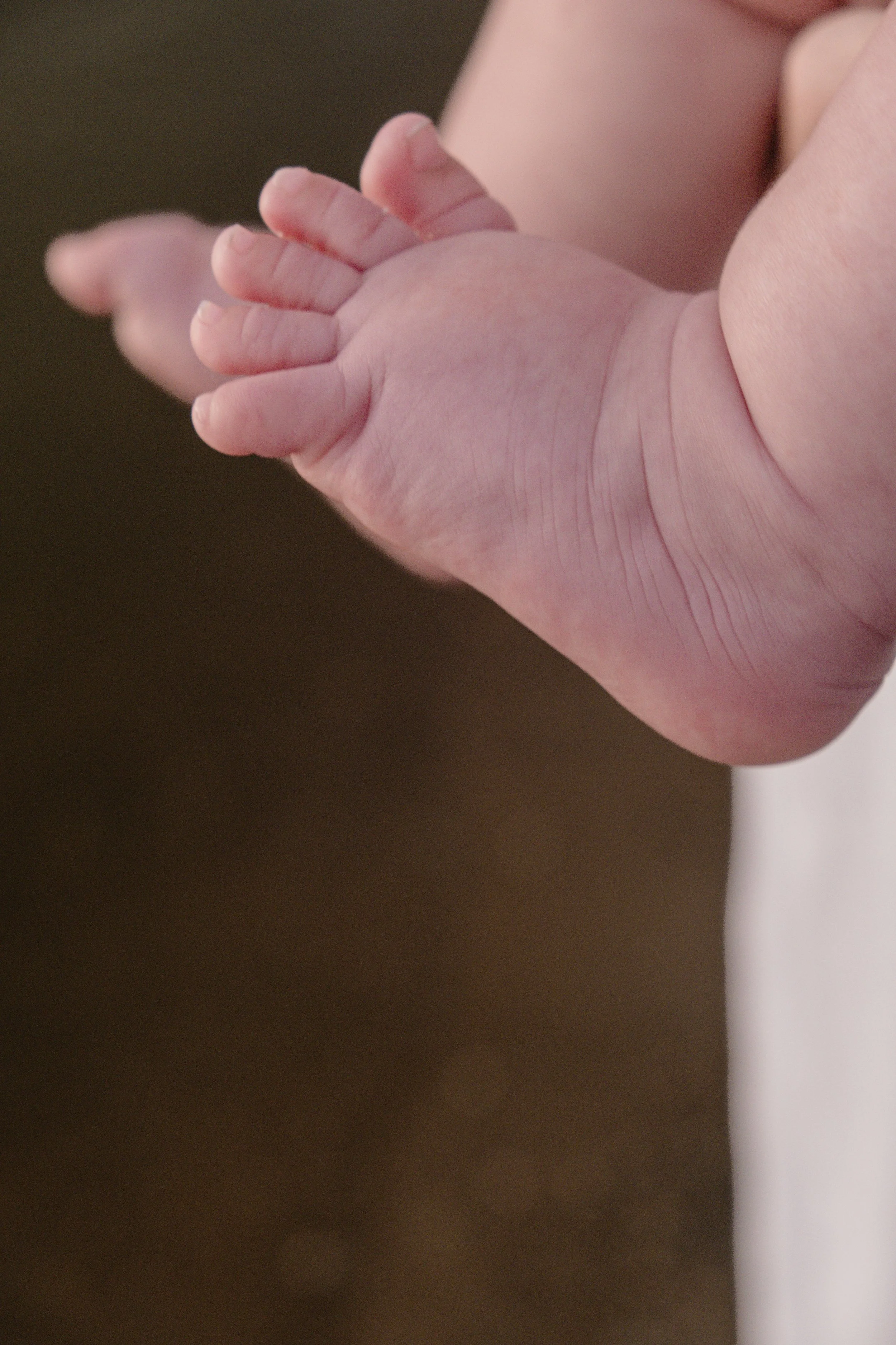 Staley (Five Months)-178.jpg