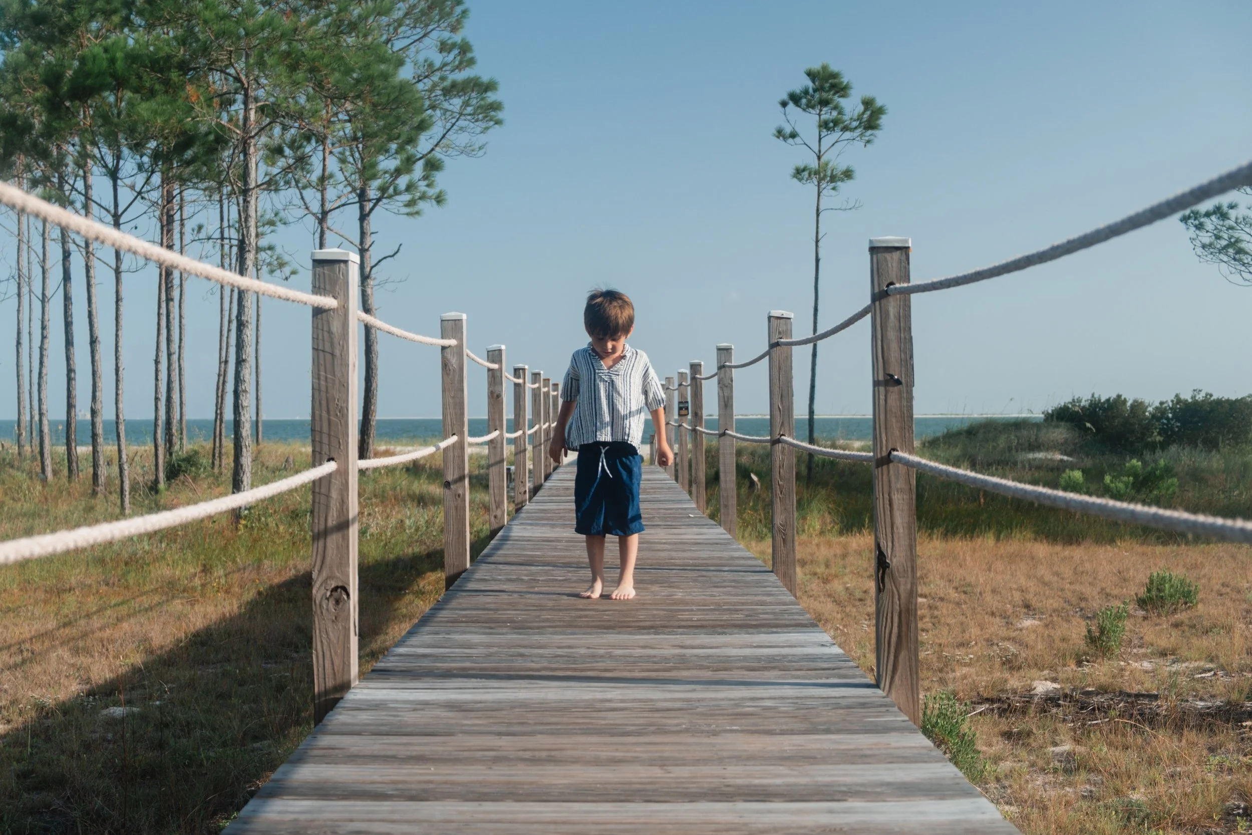 Dauphin Island (2026) -29.jpg
