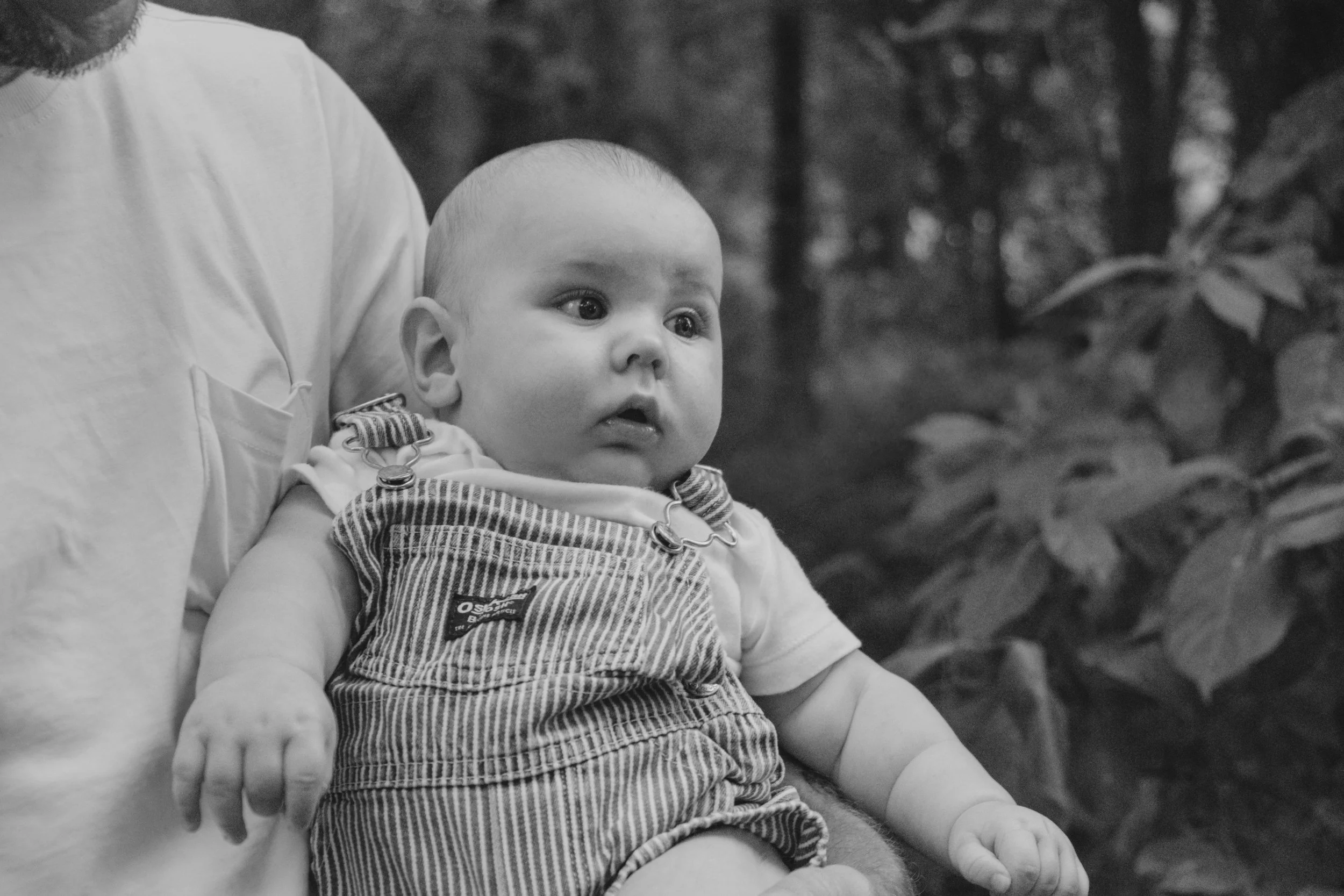 Staley (Five Months)-14.jpg
