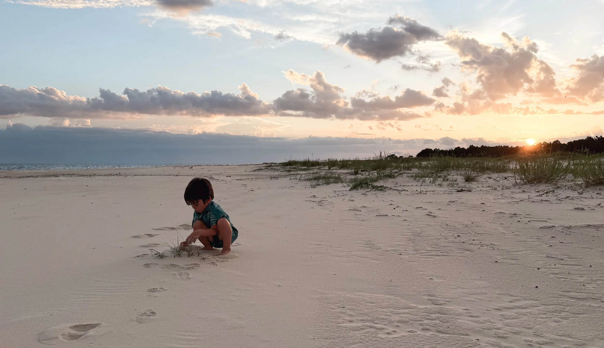 Dauphin Island (2026) -10.jpg
