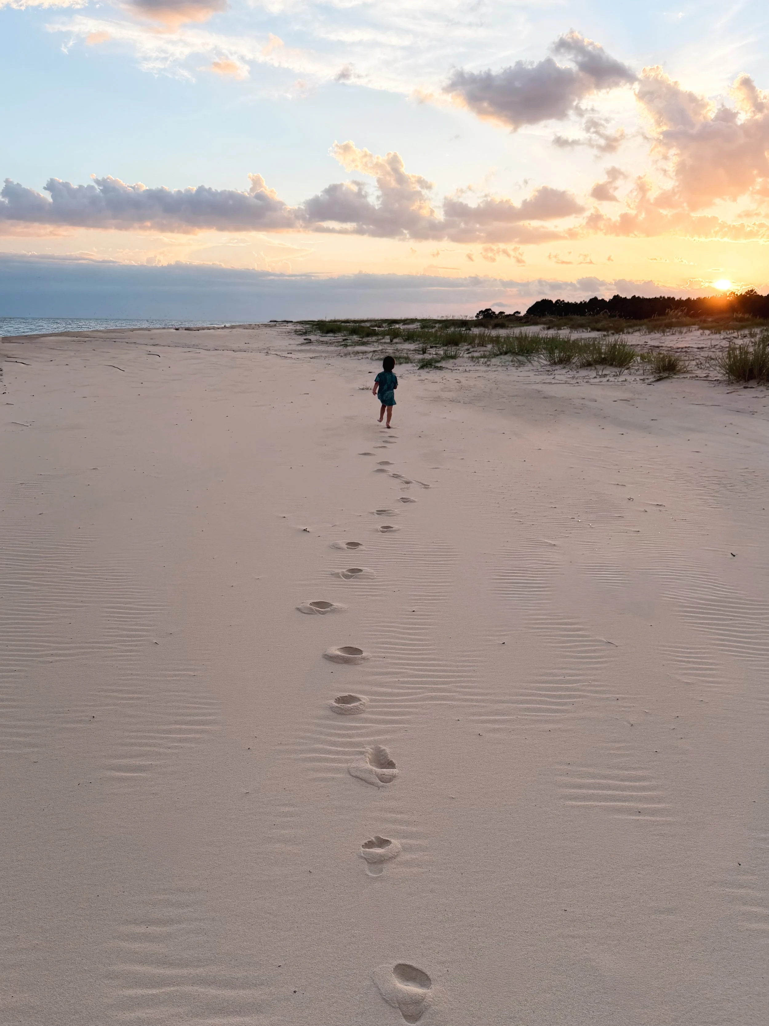 Dauphin Island (2026) -9.jpg