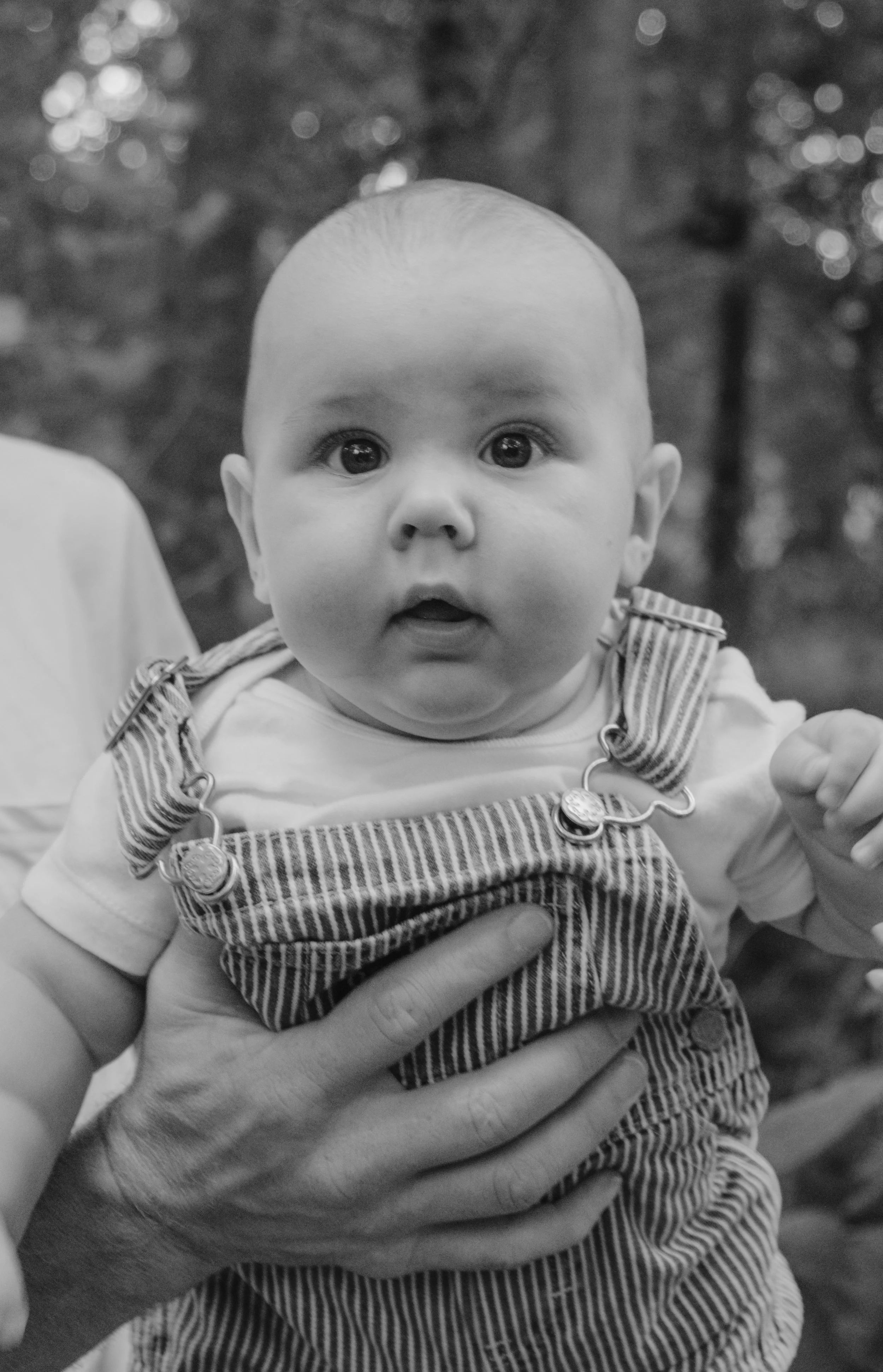 Staley (Five Months)-20.jpg