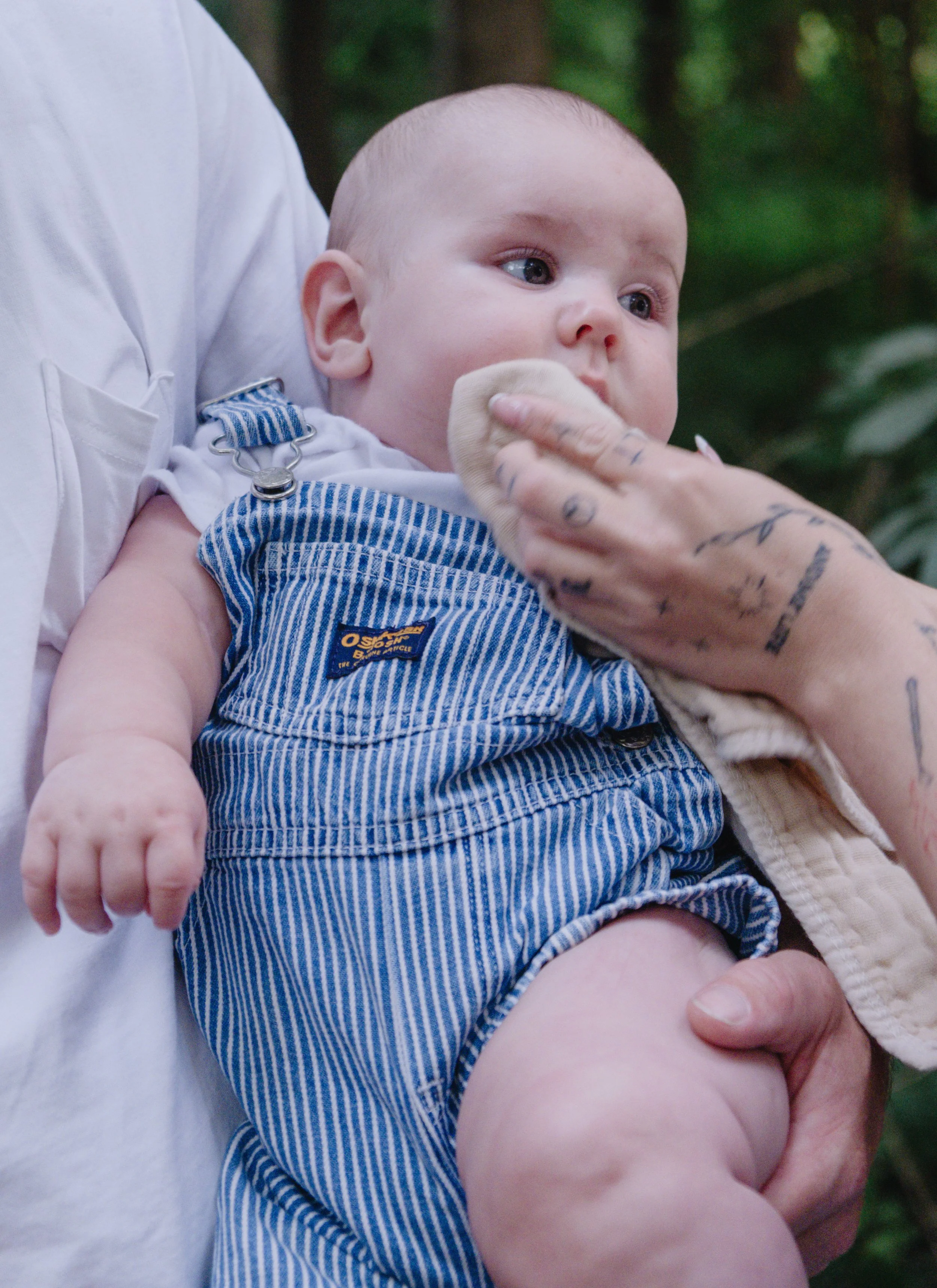 Staley (Five Months)-15.jpg