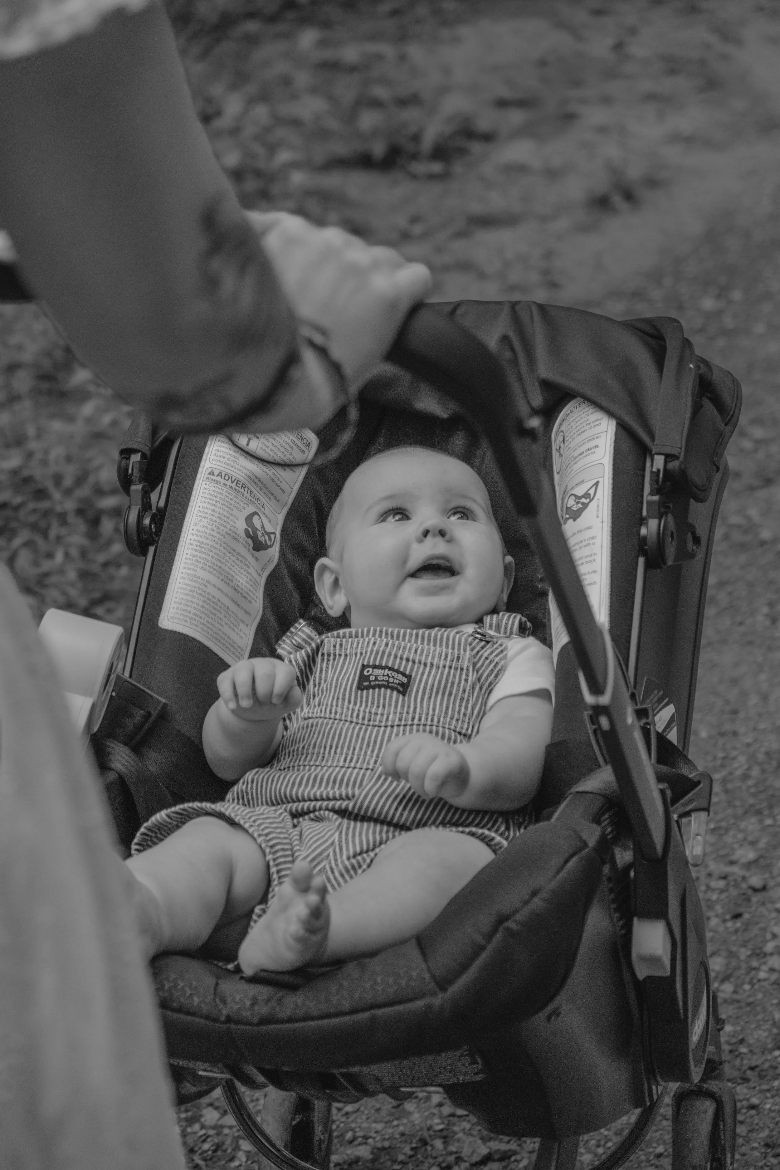 Staley (Five Months)-48.jpg