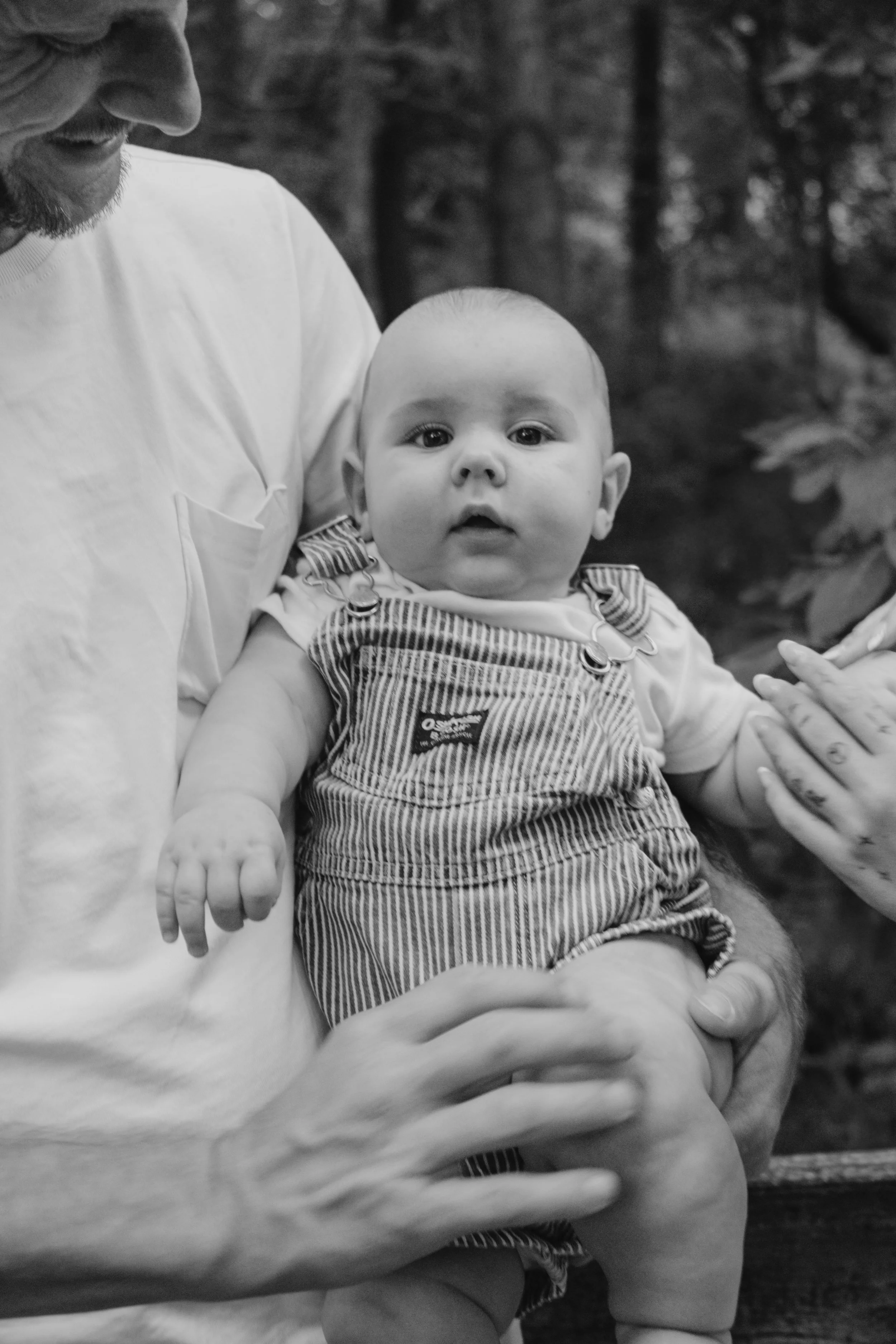 Staley (Five Months)-16.jpg