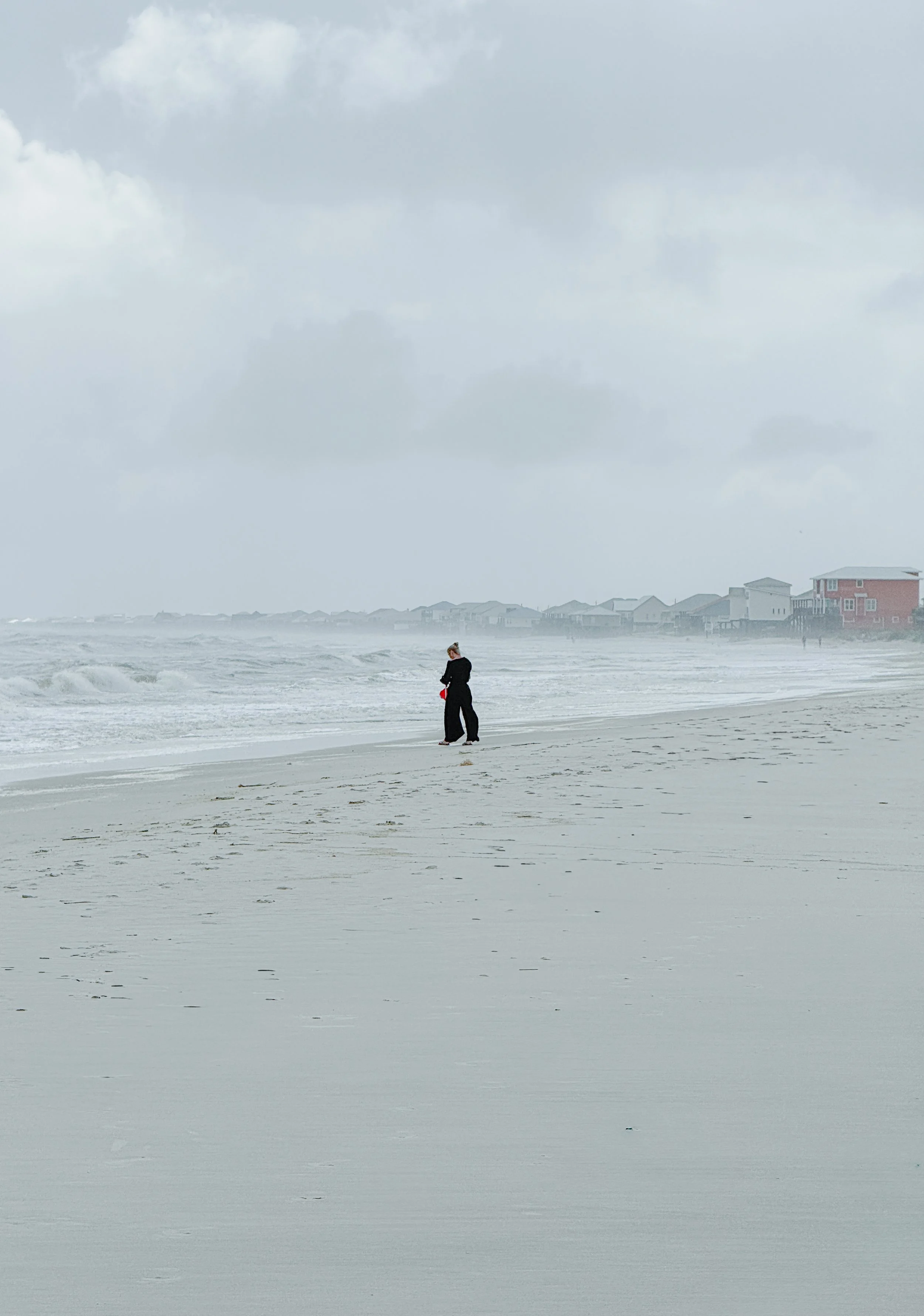 Dauphin Island (2026) -24.jpg